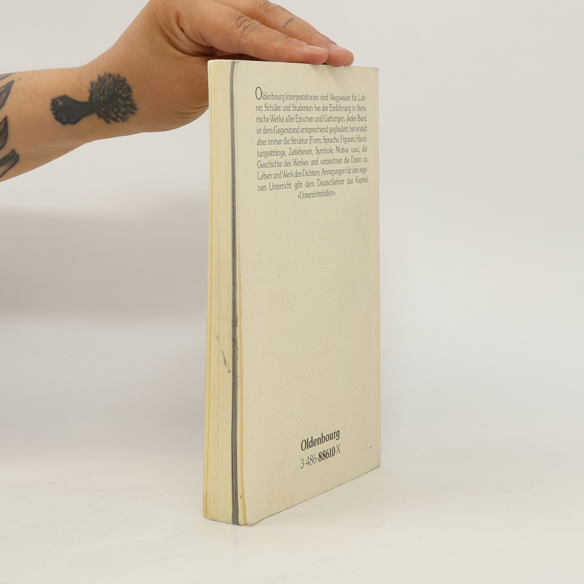 Reinhard Meurer Max Frisch, Homo faber