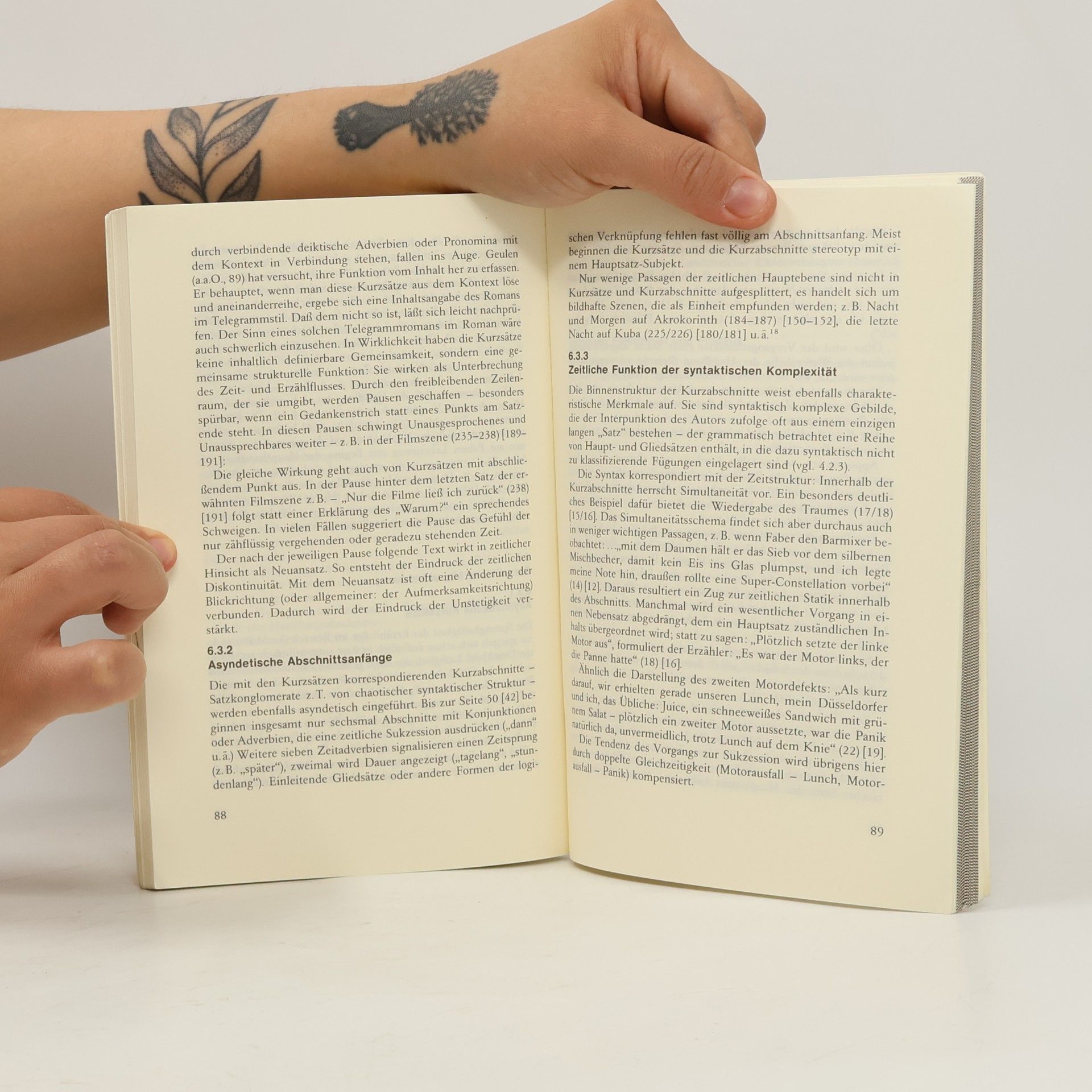 Reinhard Meurer Max Frisch, Homo faber