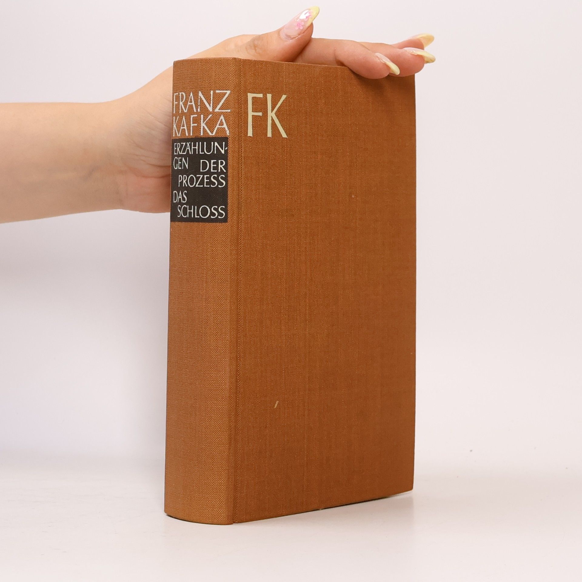 Franz Kafka Erzählungen. Der Prozess. Das Schloss