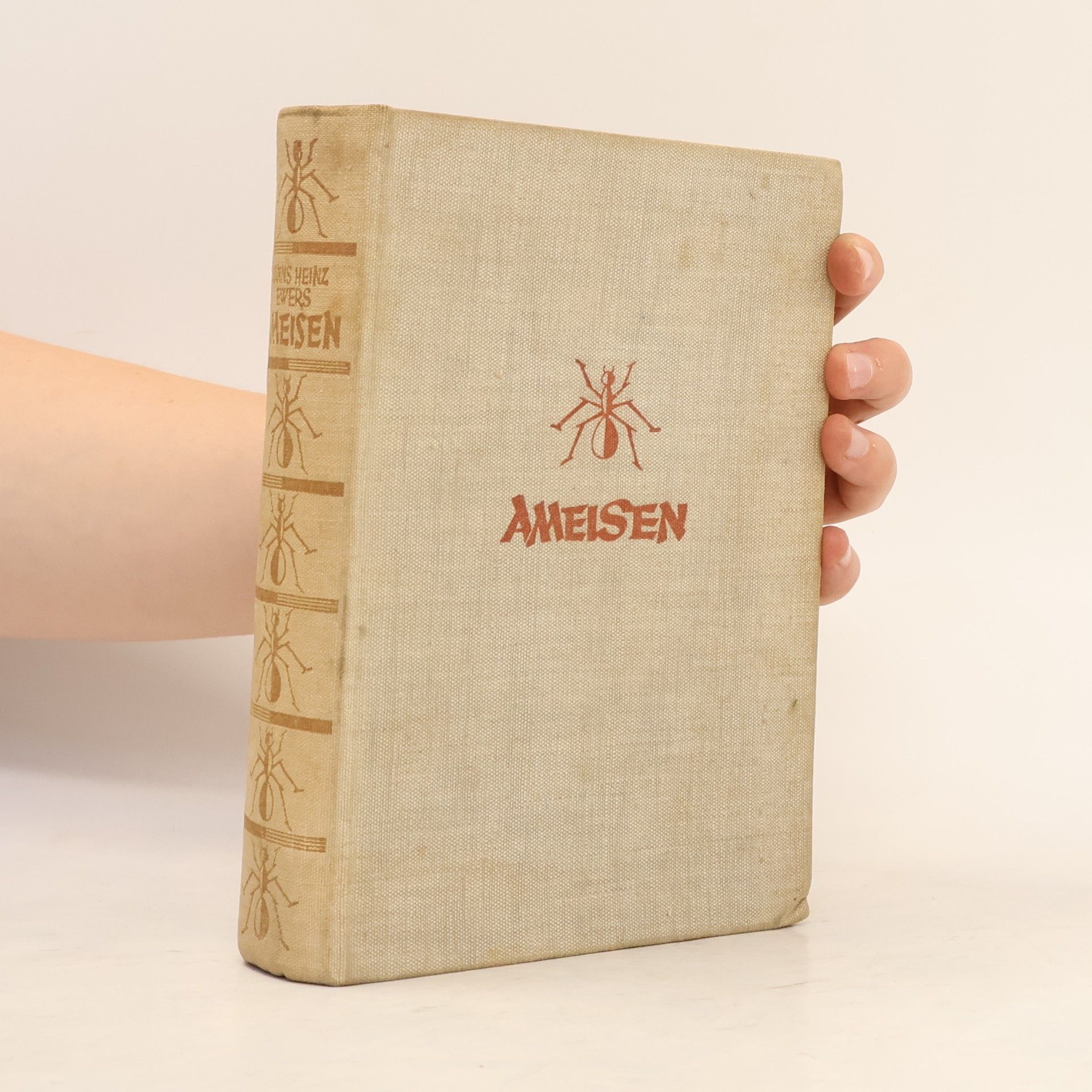 Ameisen