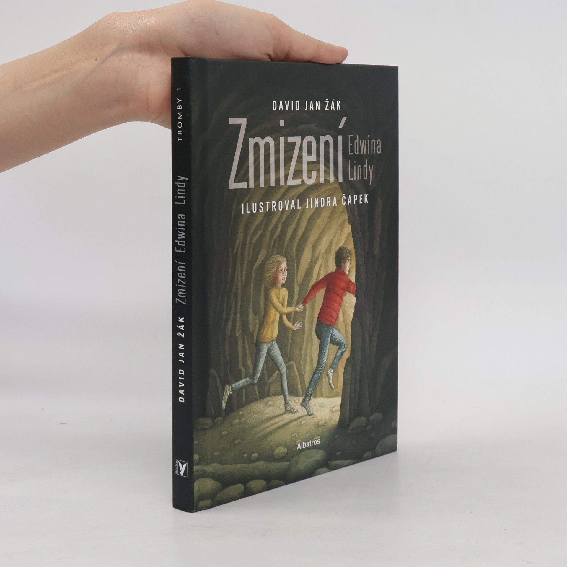 David Jan Žák Zmizení Edwina Lindy