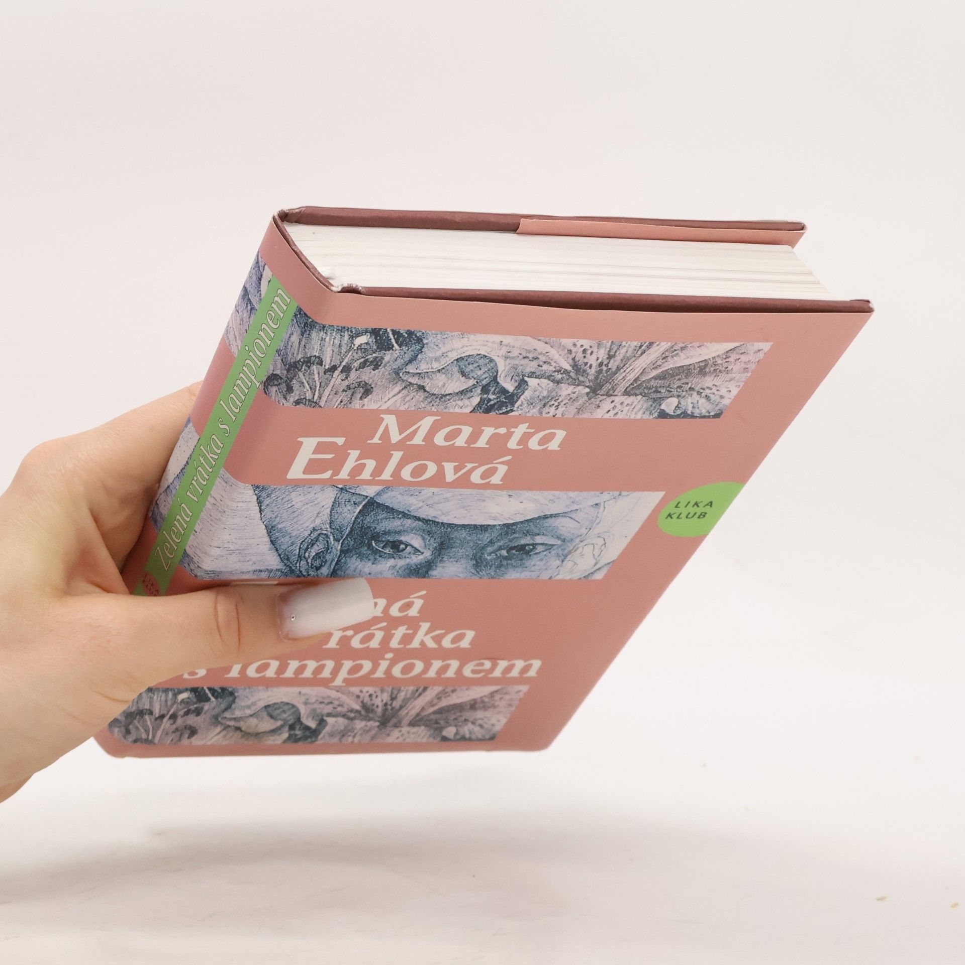 Marta Ehlová Zelená vrátka s lampionem