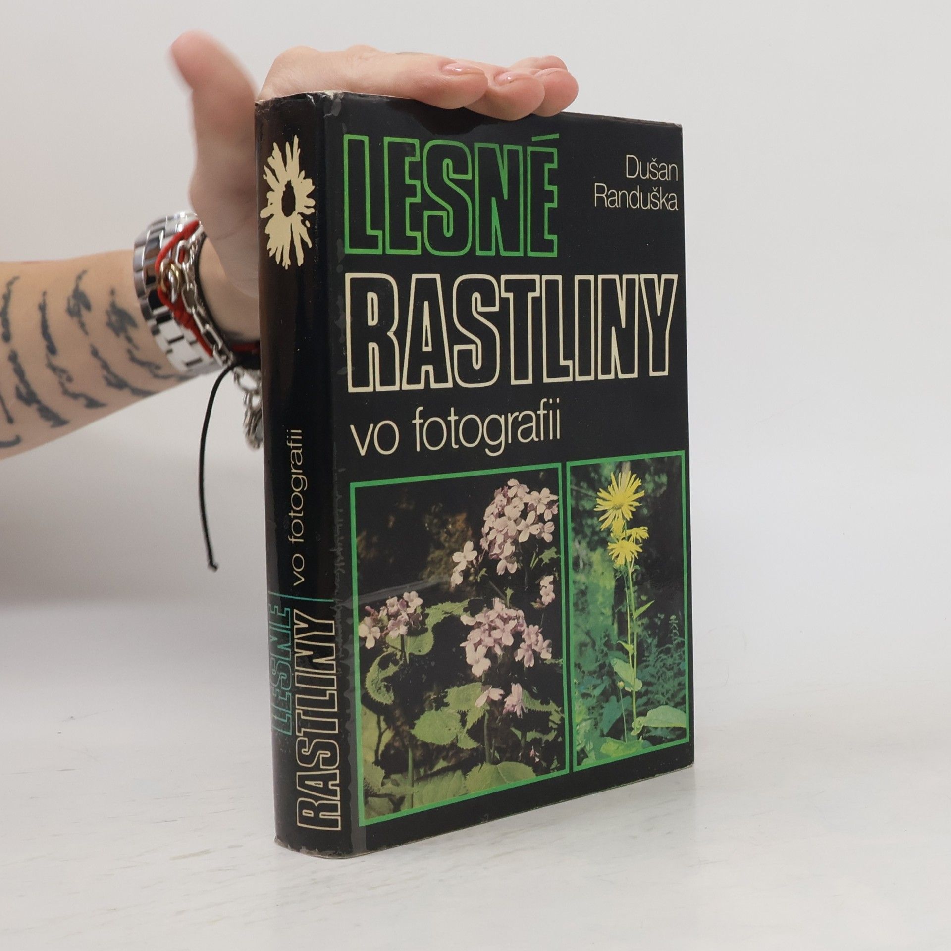 Lesné rastliny vo fotografii
