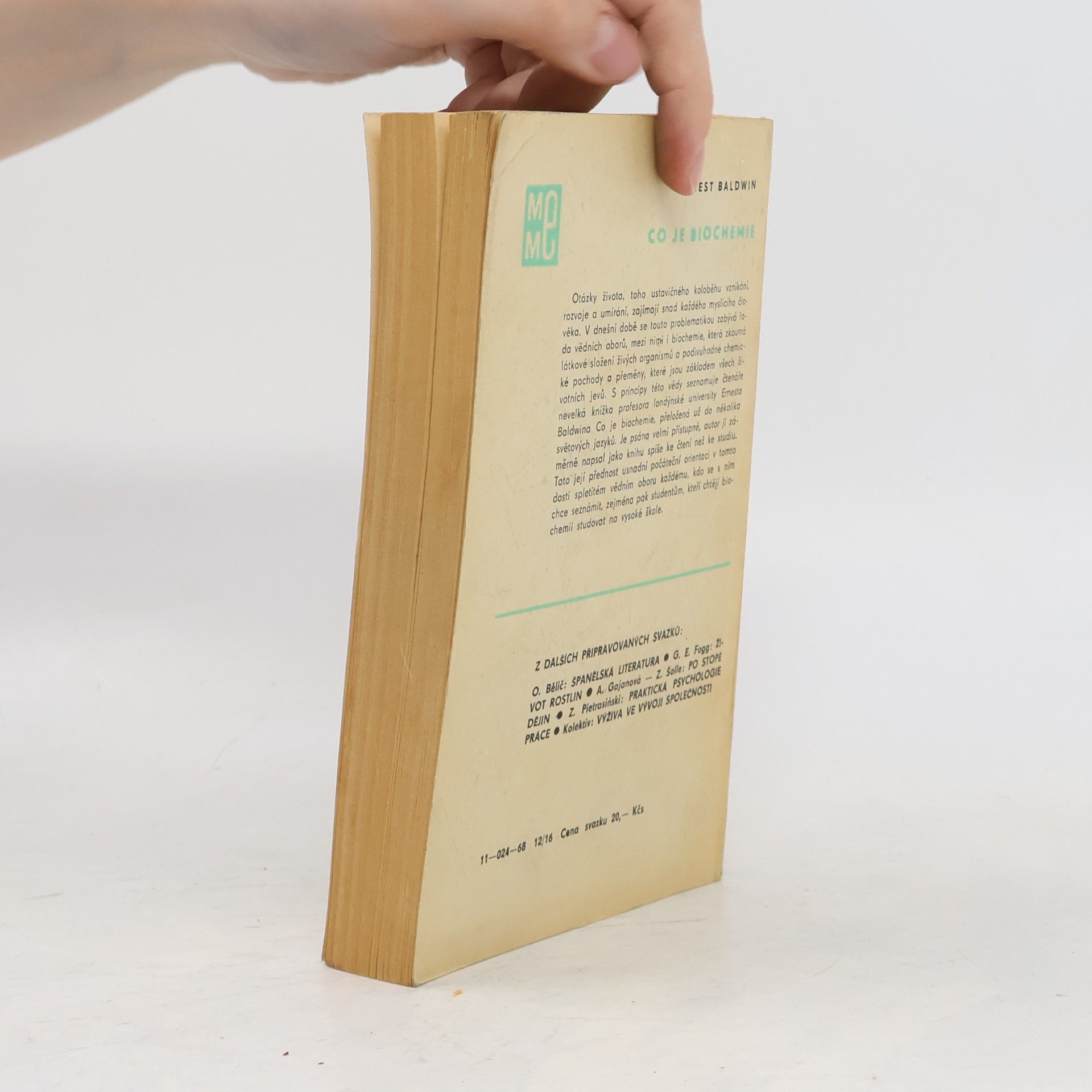 František Buriánek Česká literatura 20. století. Malá moderní encyklopedie