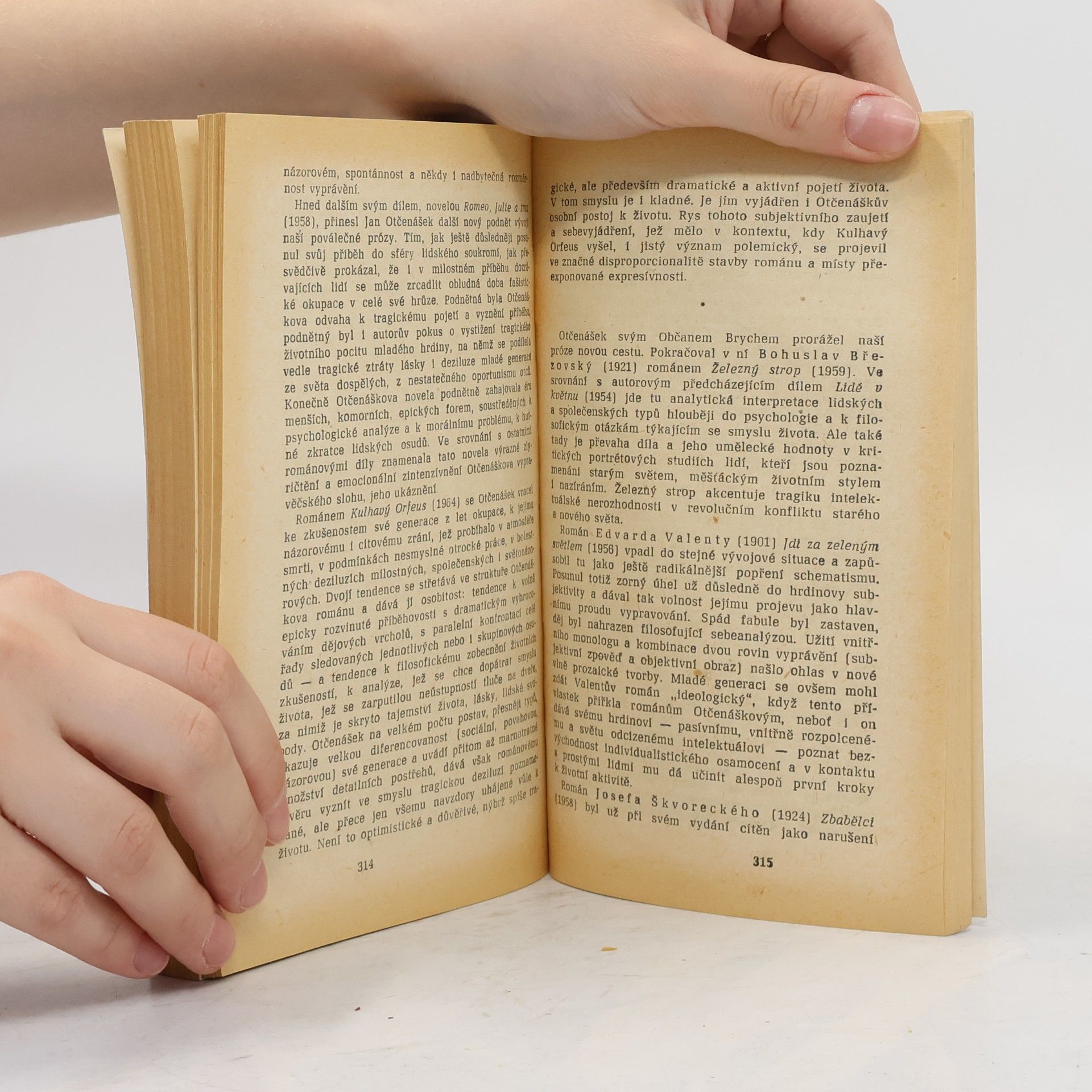 František Buriánek Česká literatura 20. století. Malá moderní encyklopedie