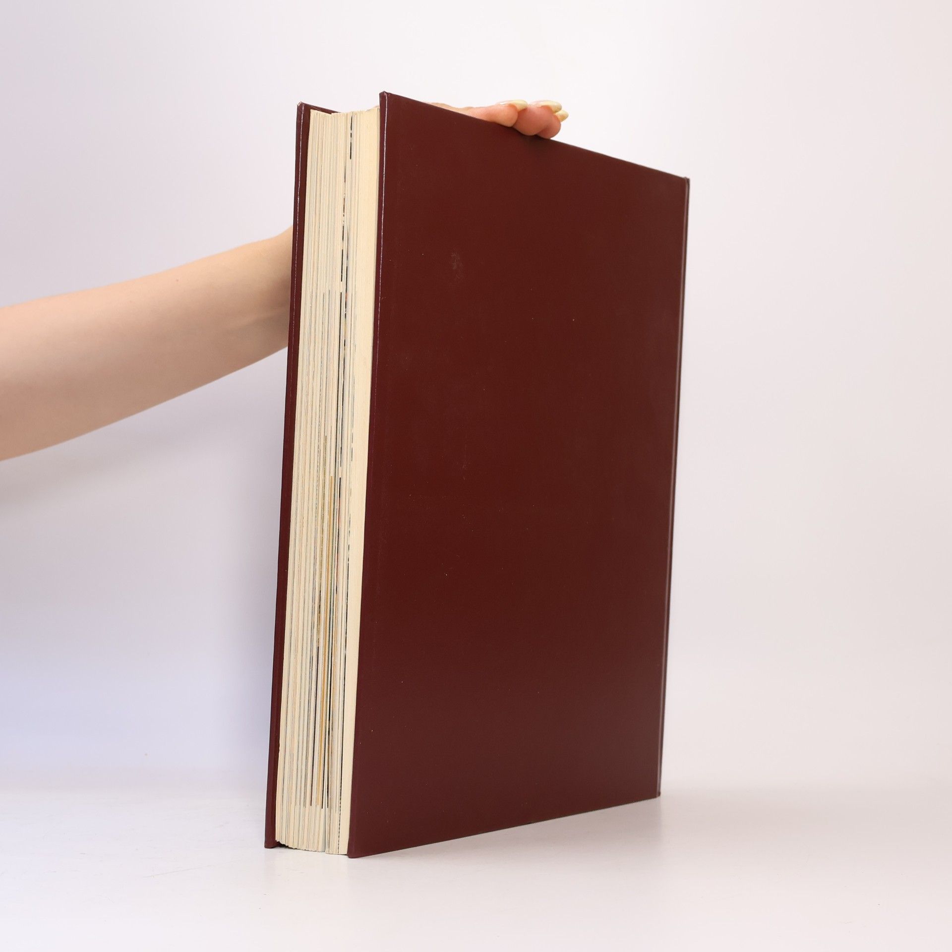 Roland Gööck Schöner Wohnen. Das große praktische Einrichtungsbuch
