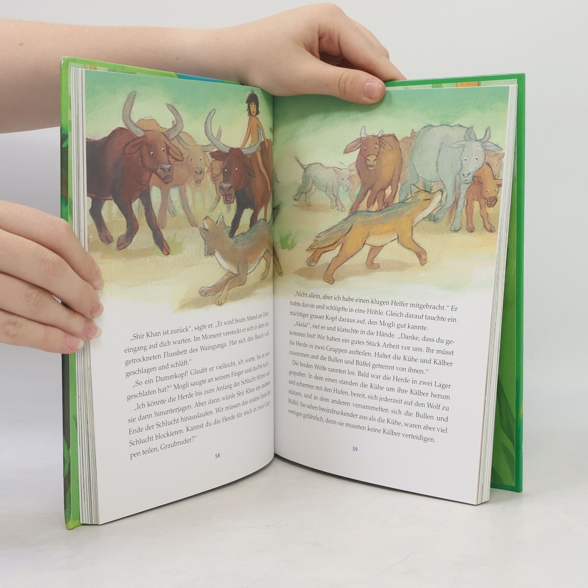 Rudyard Kipling Das Dschungelbuch