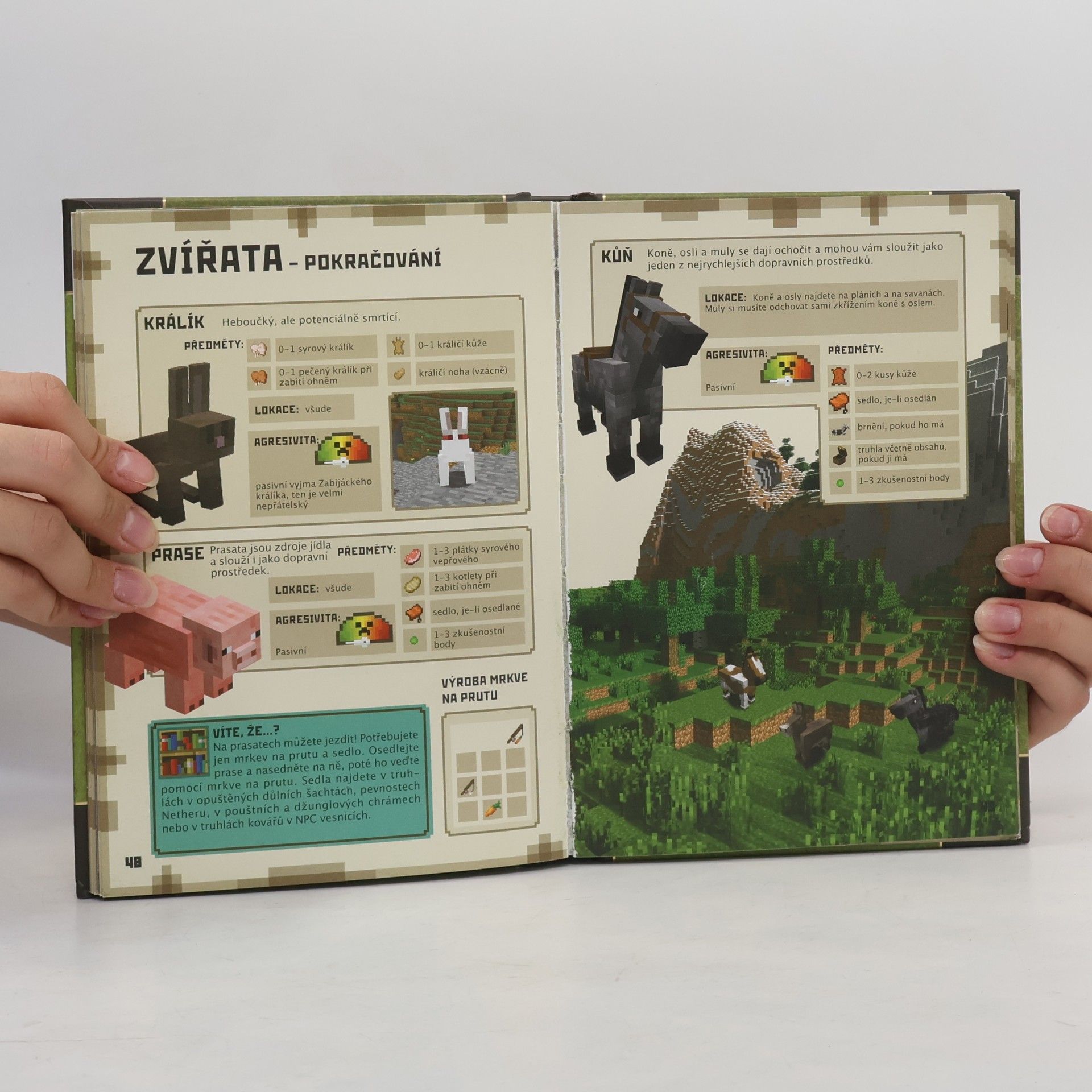 Matyáš Theodor Frydrych Minecraft: Základní příručka