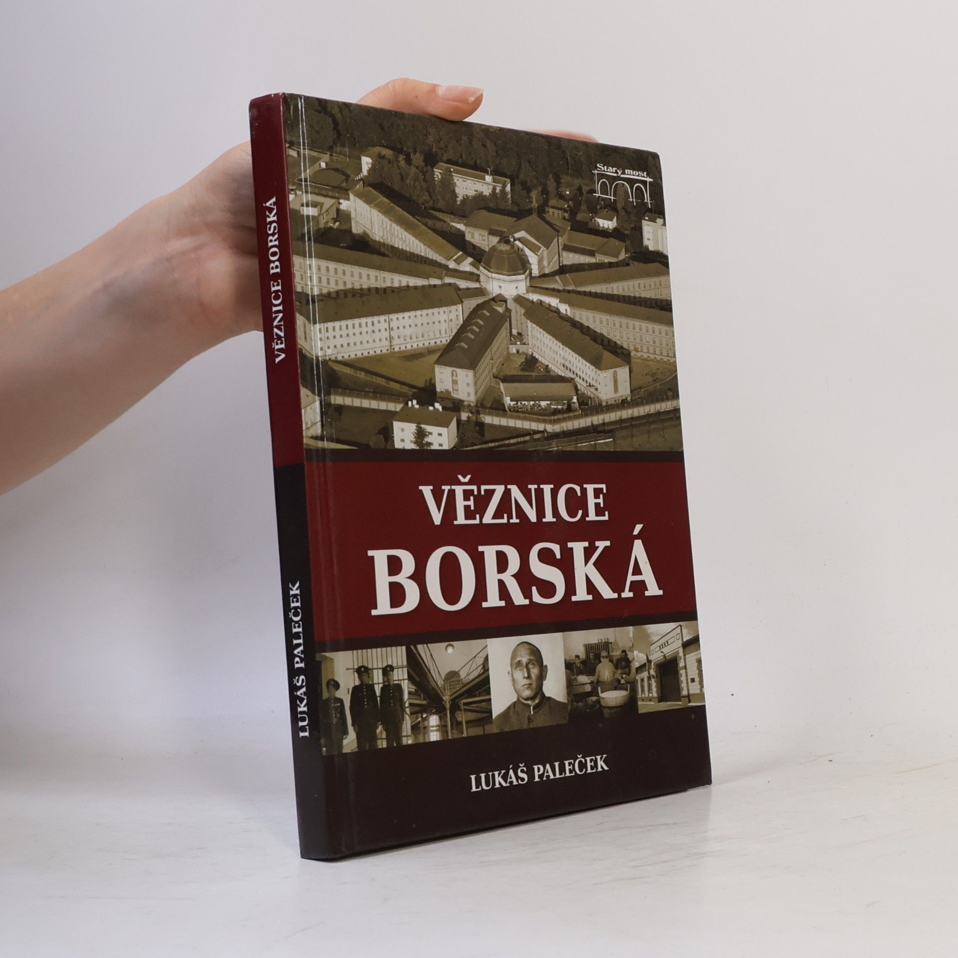 Lukáš Paleček Věznice borská