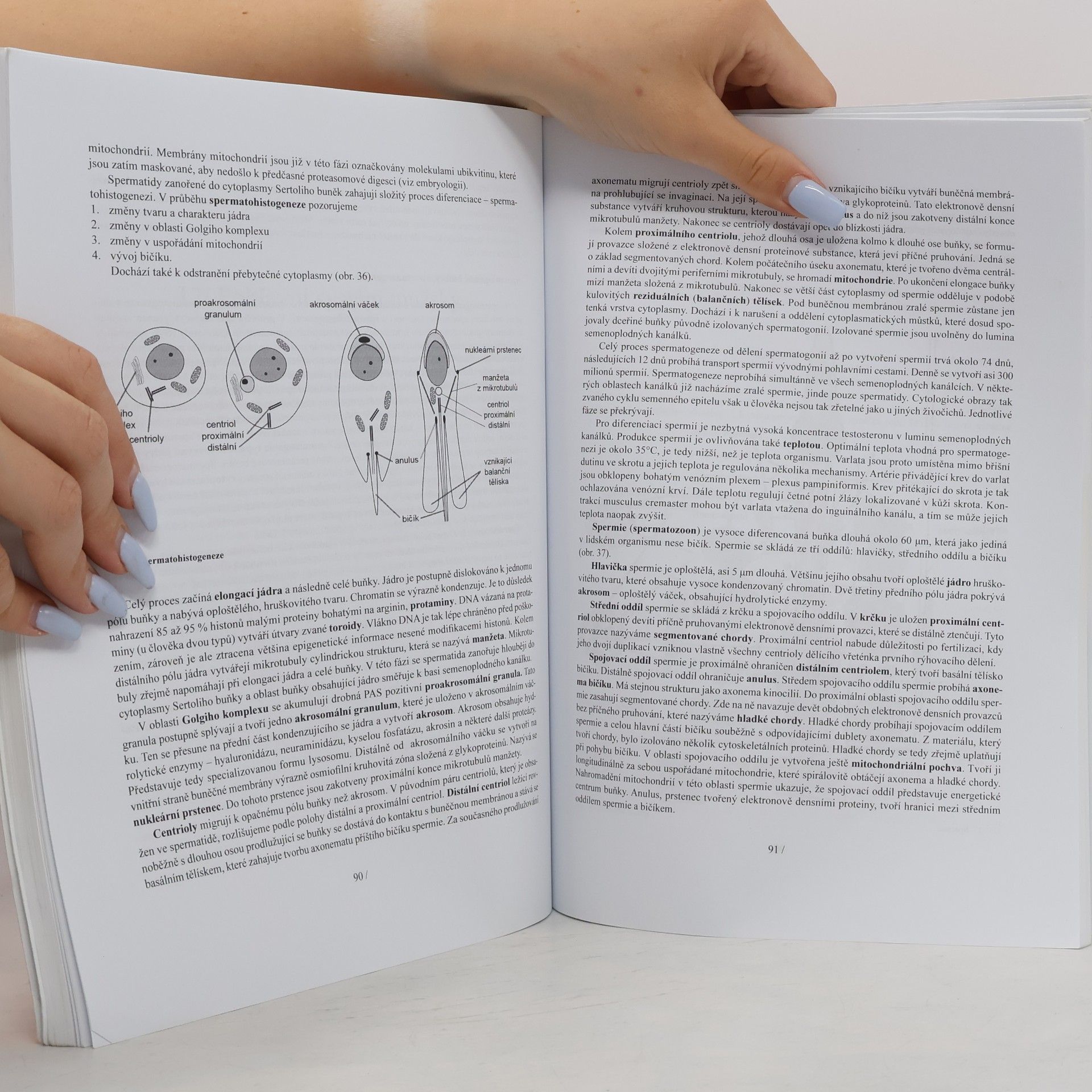 Univerzita Karlova Lékařská histologie II. : mikroskopická anatomie