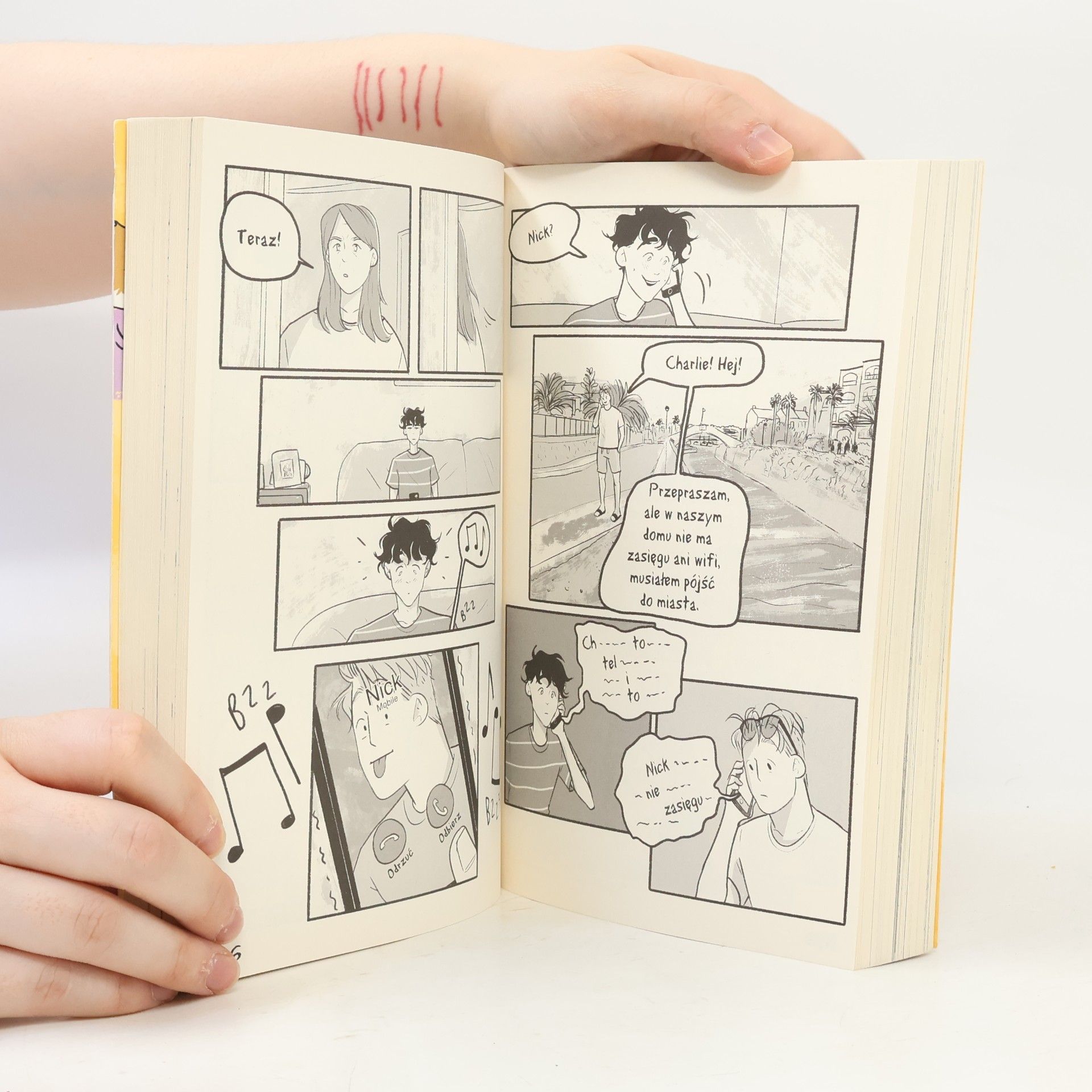 Alice Oseman Heartstopper Tom 4
