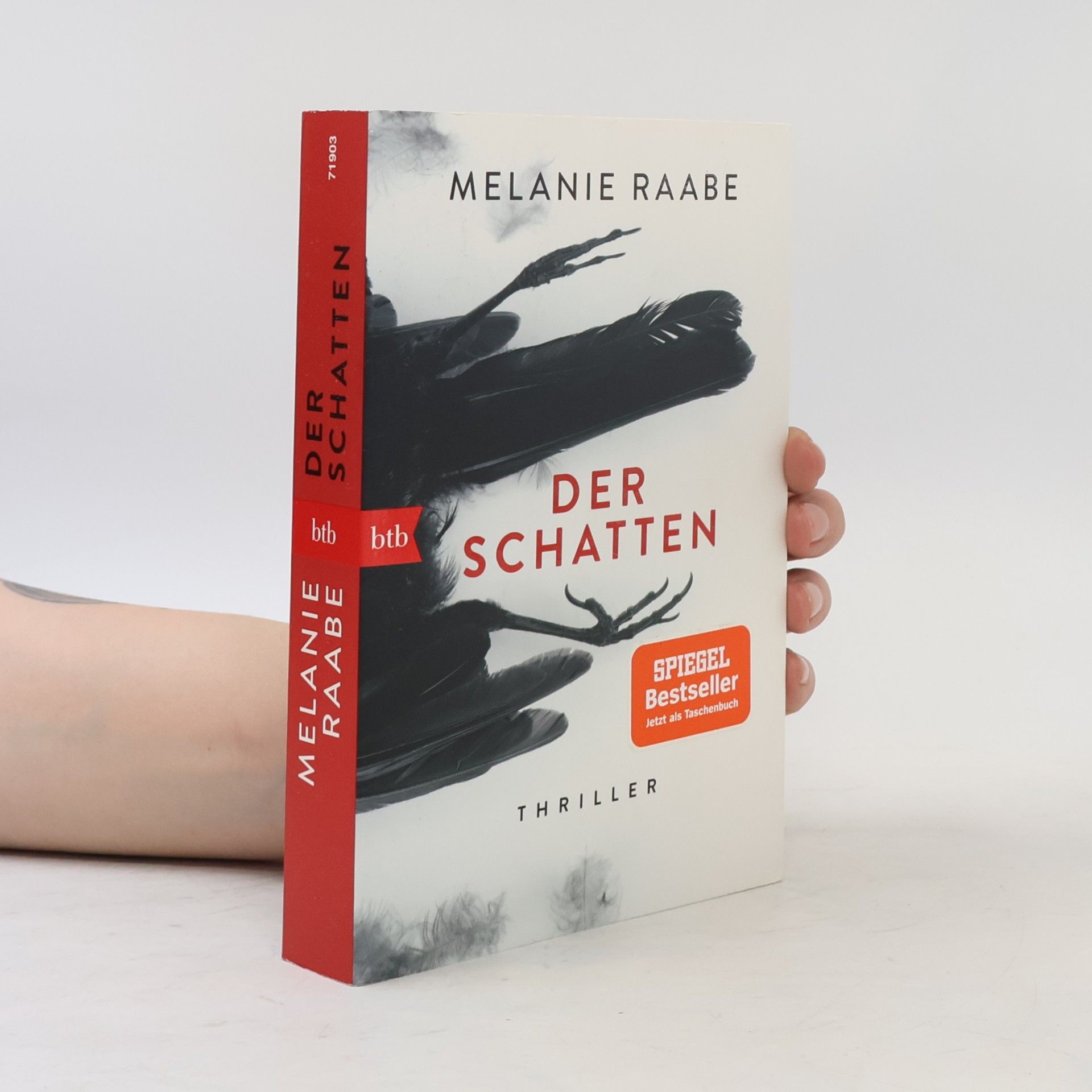 Melanie Raabe Der Schatten