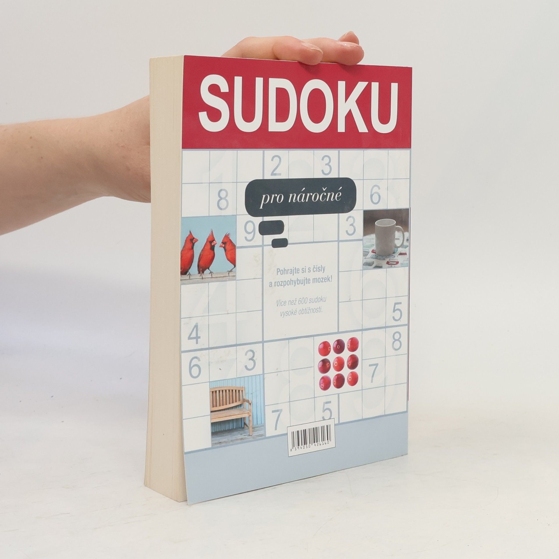 Autores varios Sudoku pro náročné