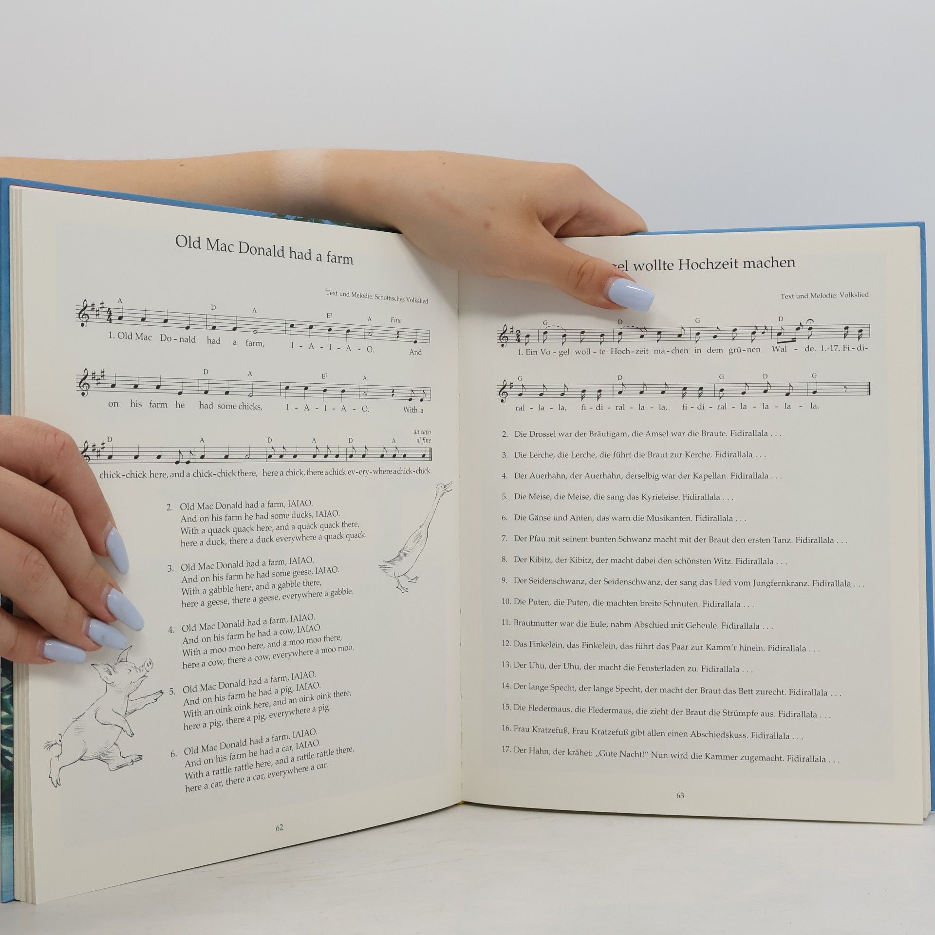 Reinhard Michl Das große Buch der Lieder