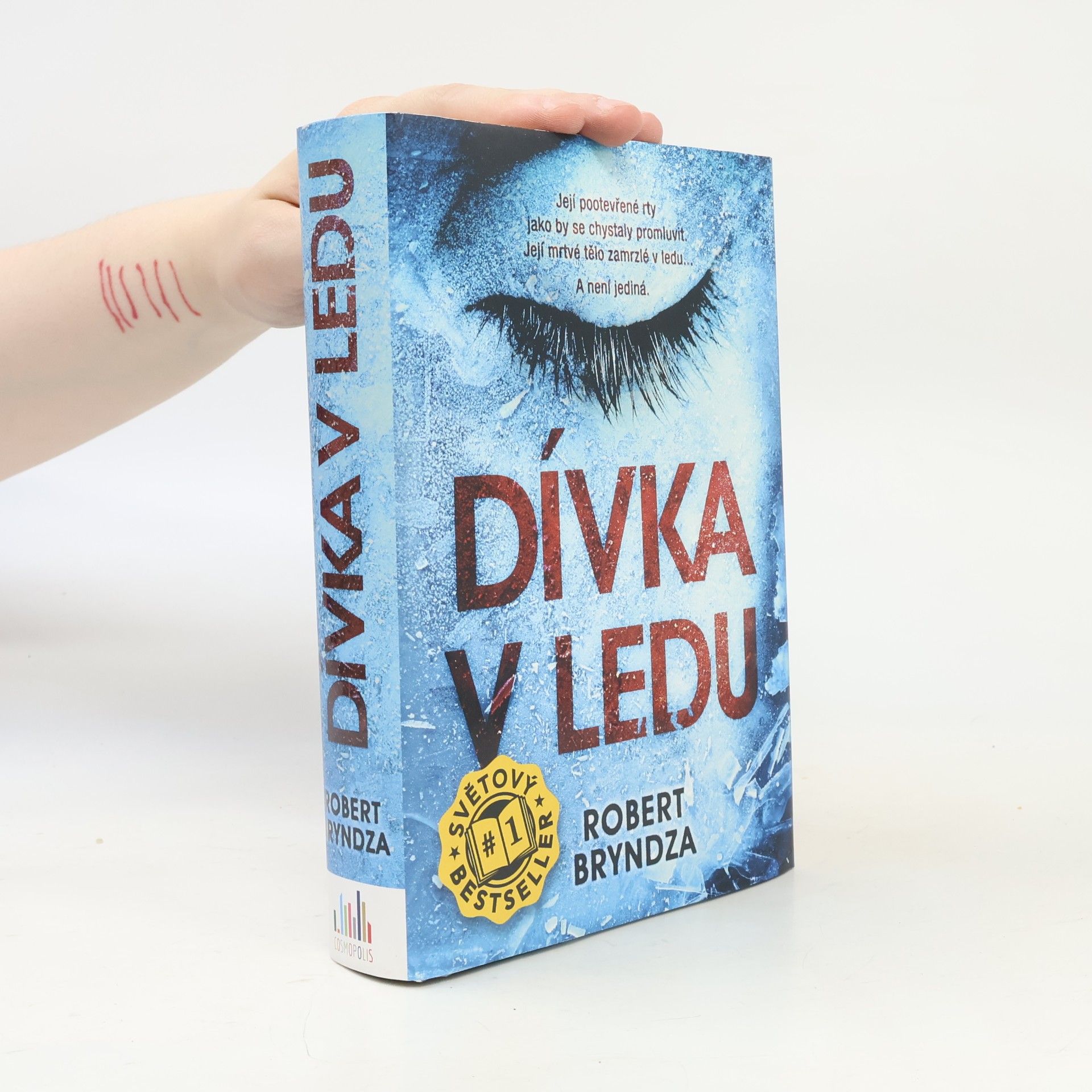 Robert Bryndza Dívka v ledu