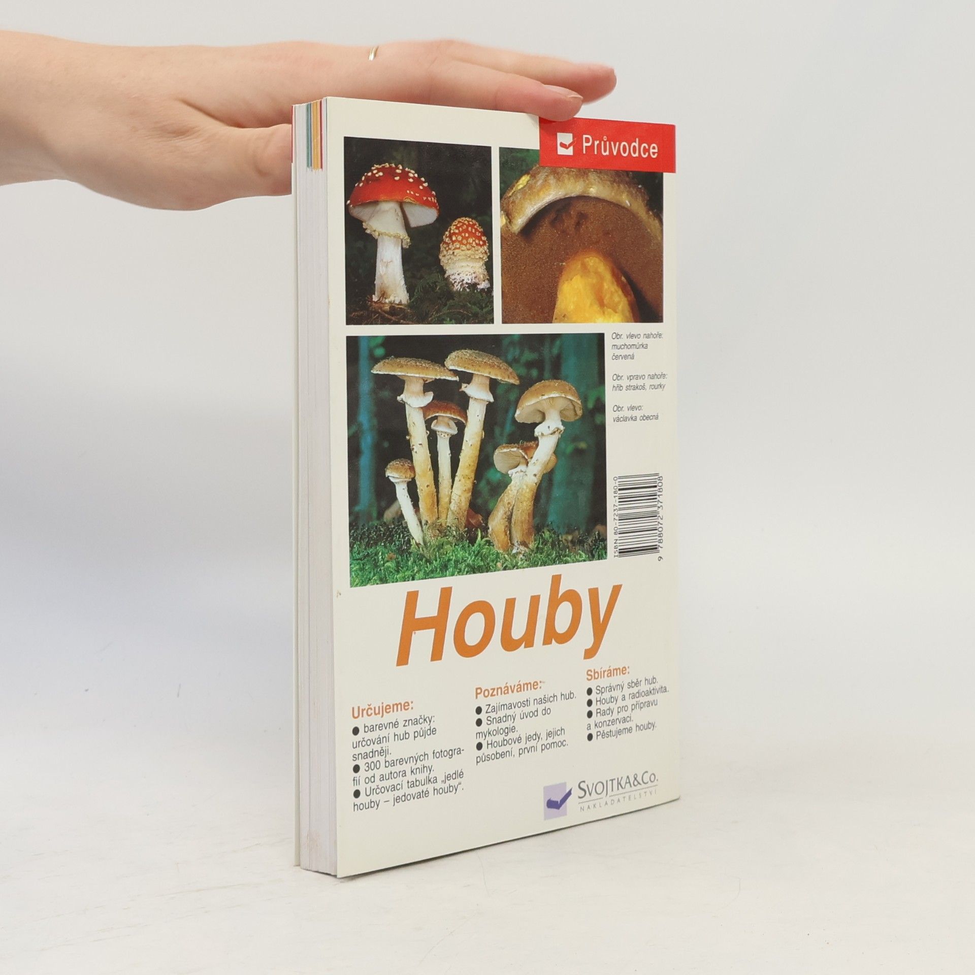 Edmund Garnweidner Houby: Jedlé houby, jejich jedovatí dvojníci a nejedlé houby ve střední Evropě : určování, poznávání, sbírání
