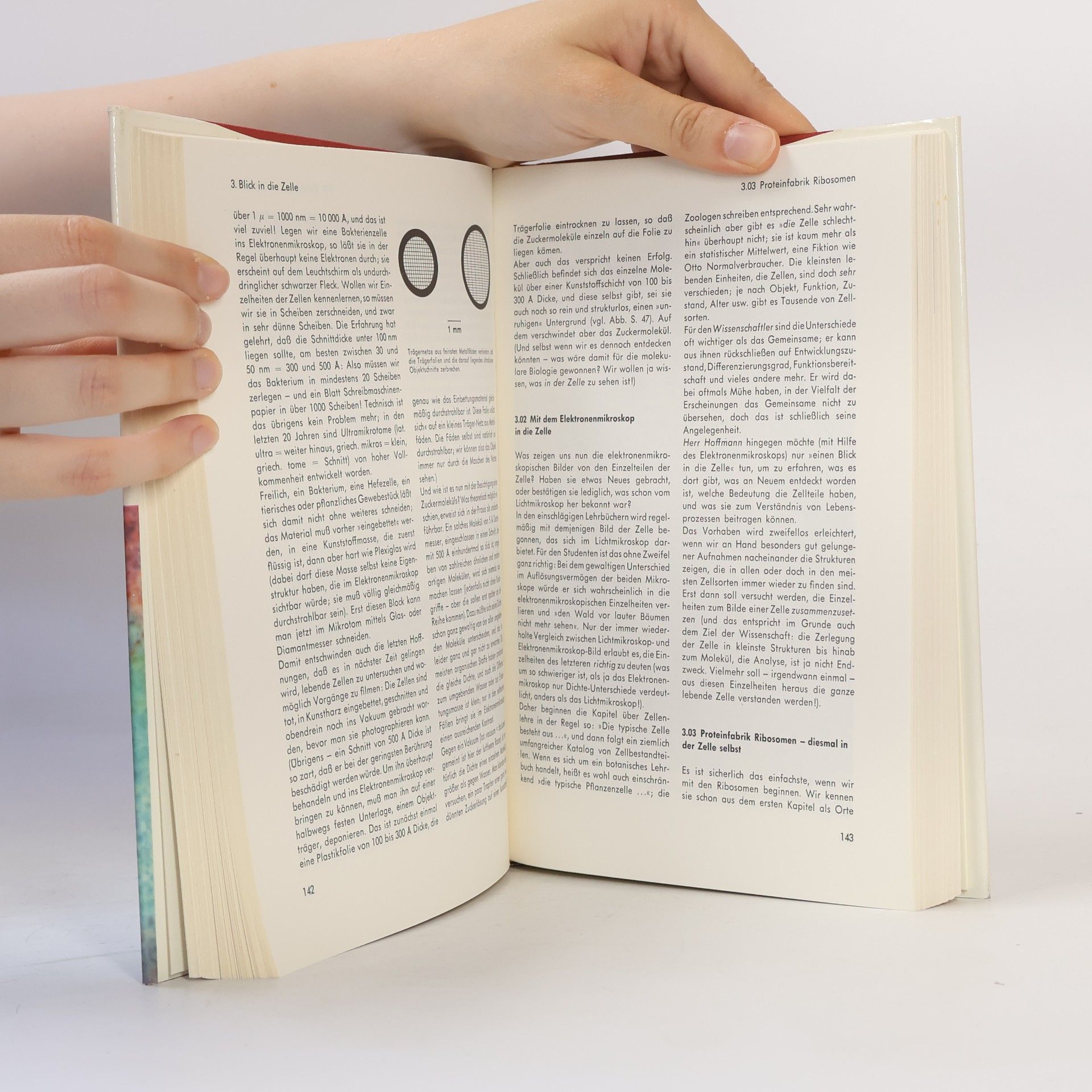Hans Joachim Bogen Knaurs Buch der modernen Biologie