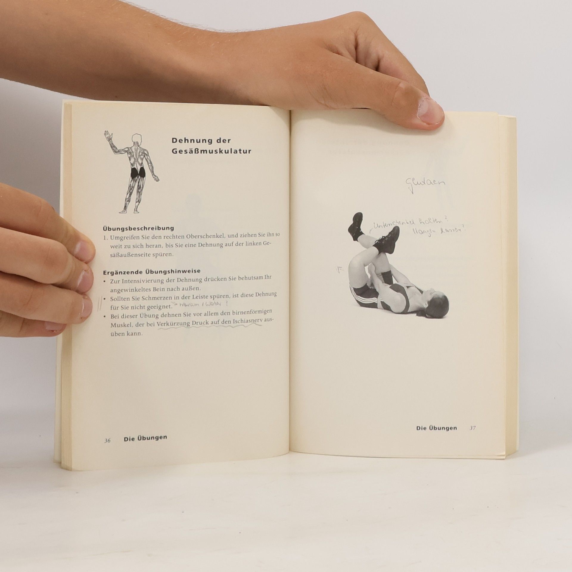 Hans Dieter Kempf Trainingsbuch Rückenschule