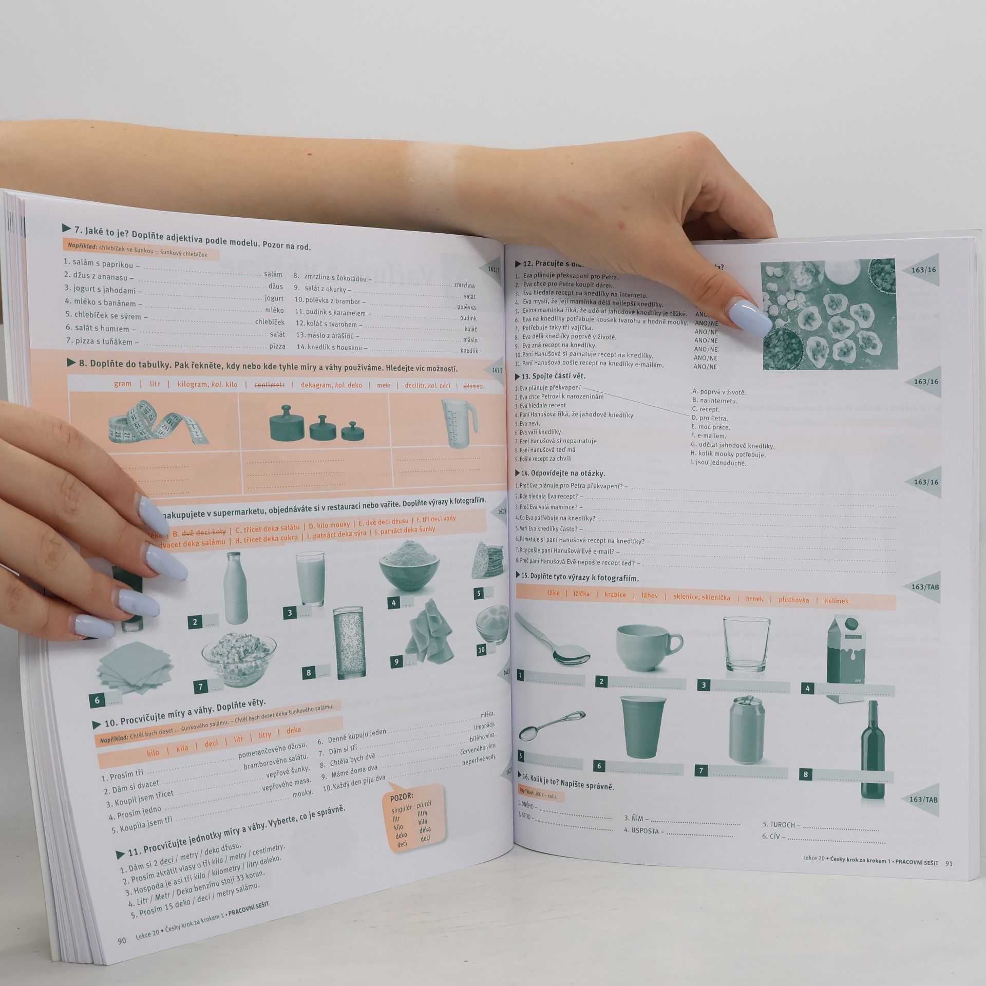 Lída Holá Česky krok za krokem 1. A1-A2. Pracovní sešit 13–24