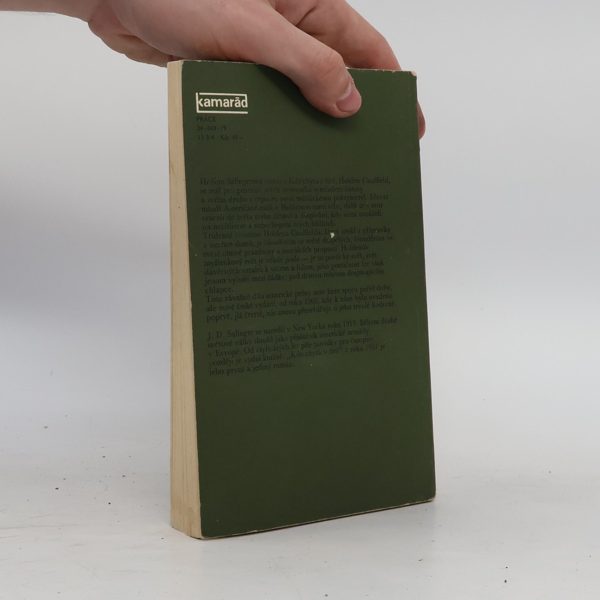 J. D. Salinger Kdo chytá v žitě