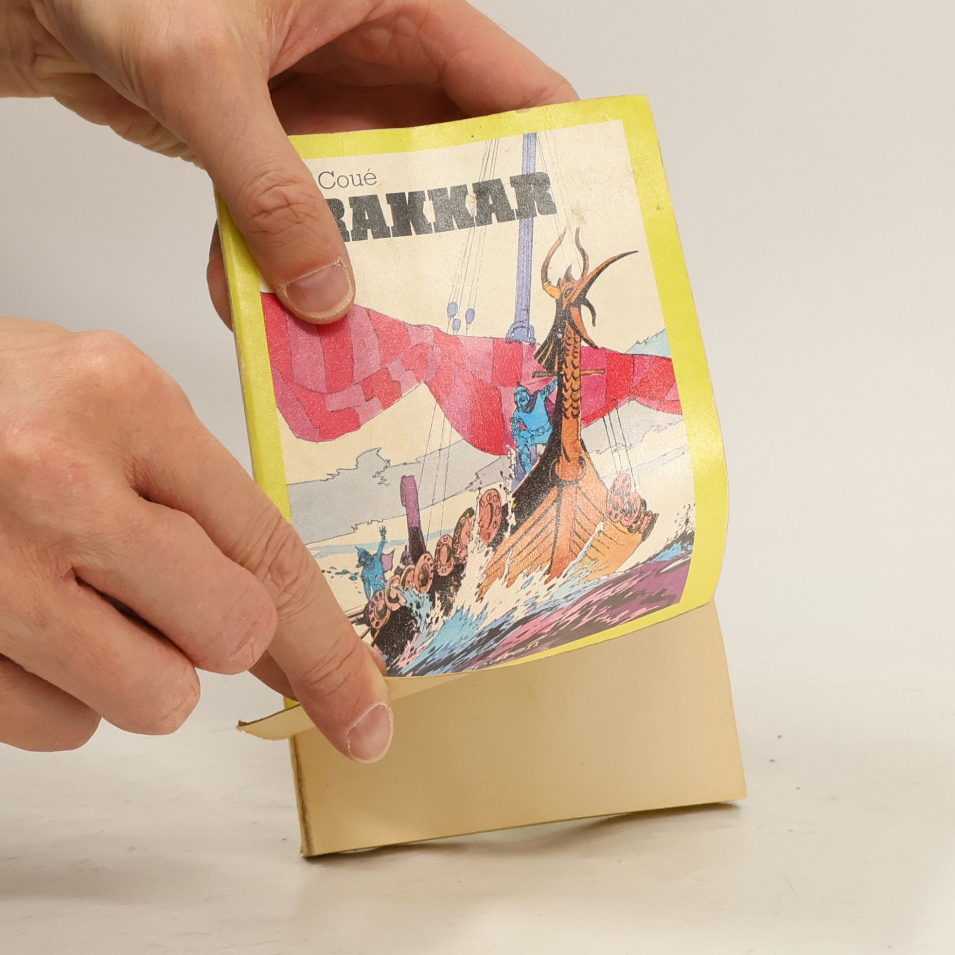 Jean Coué Drakkar. Auf den Spuren der Wikinger