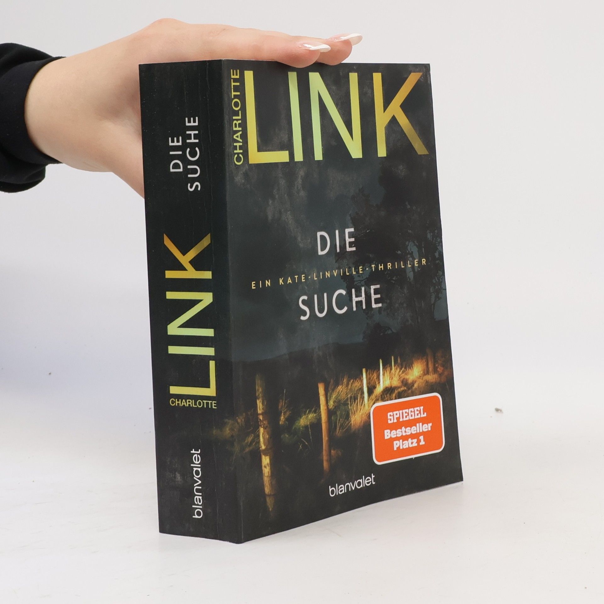 Charlotte Link Kate-Linville-Thriller - 2: Die Suche