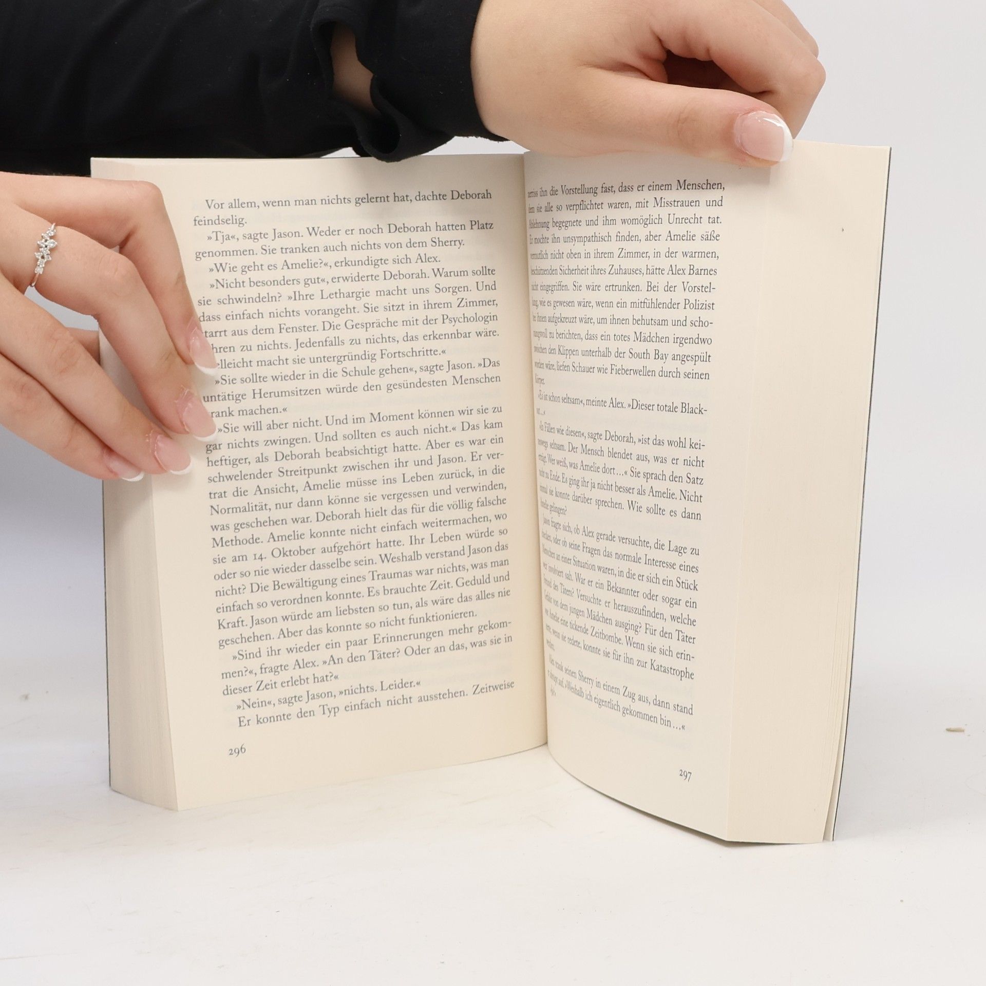 Charlotte Link Kate-Linville-Thriller - 2: Die Suche