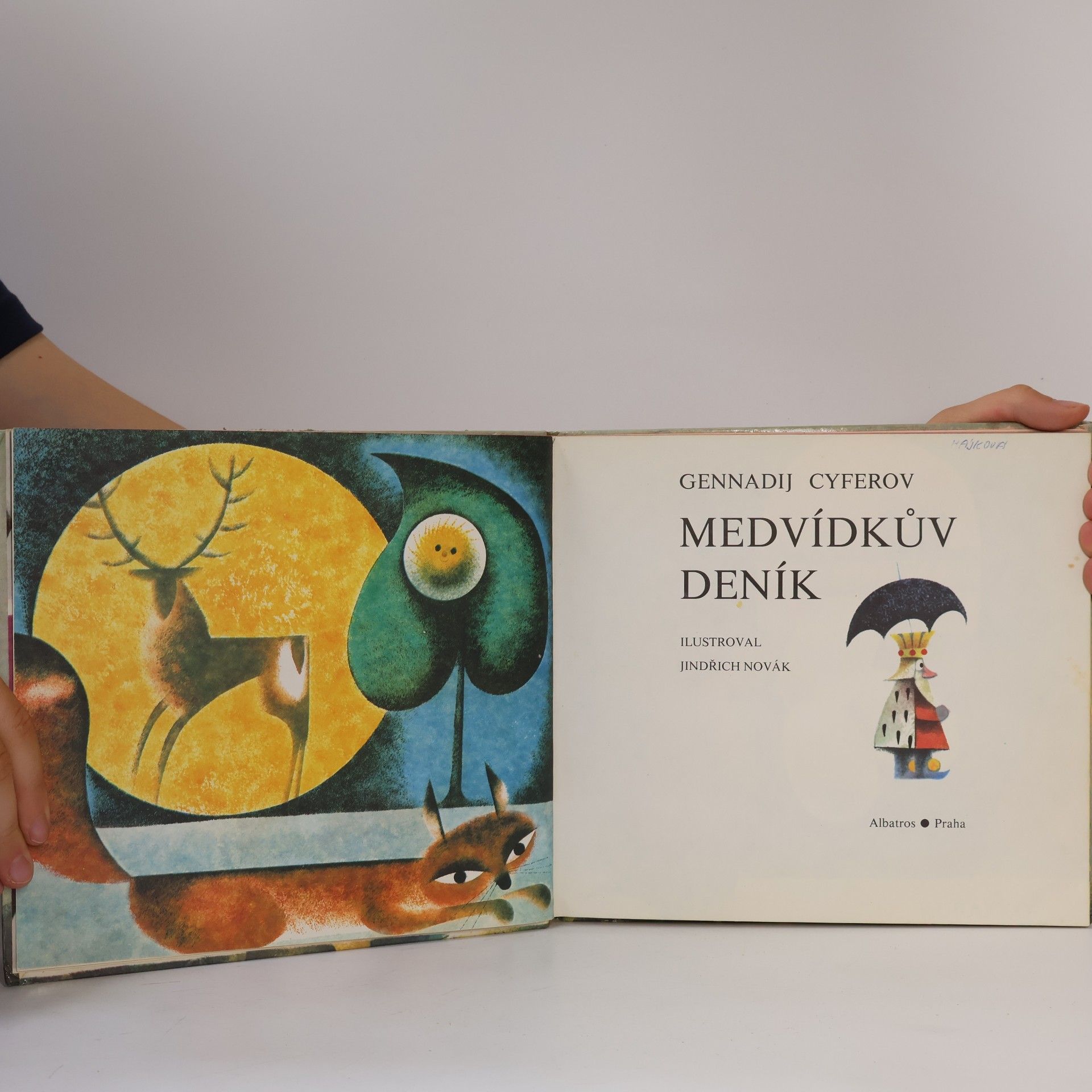 Gennadij Michajlovič Cyferov Medvídkův deník