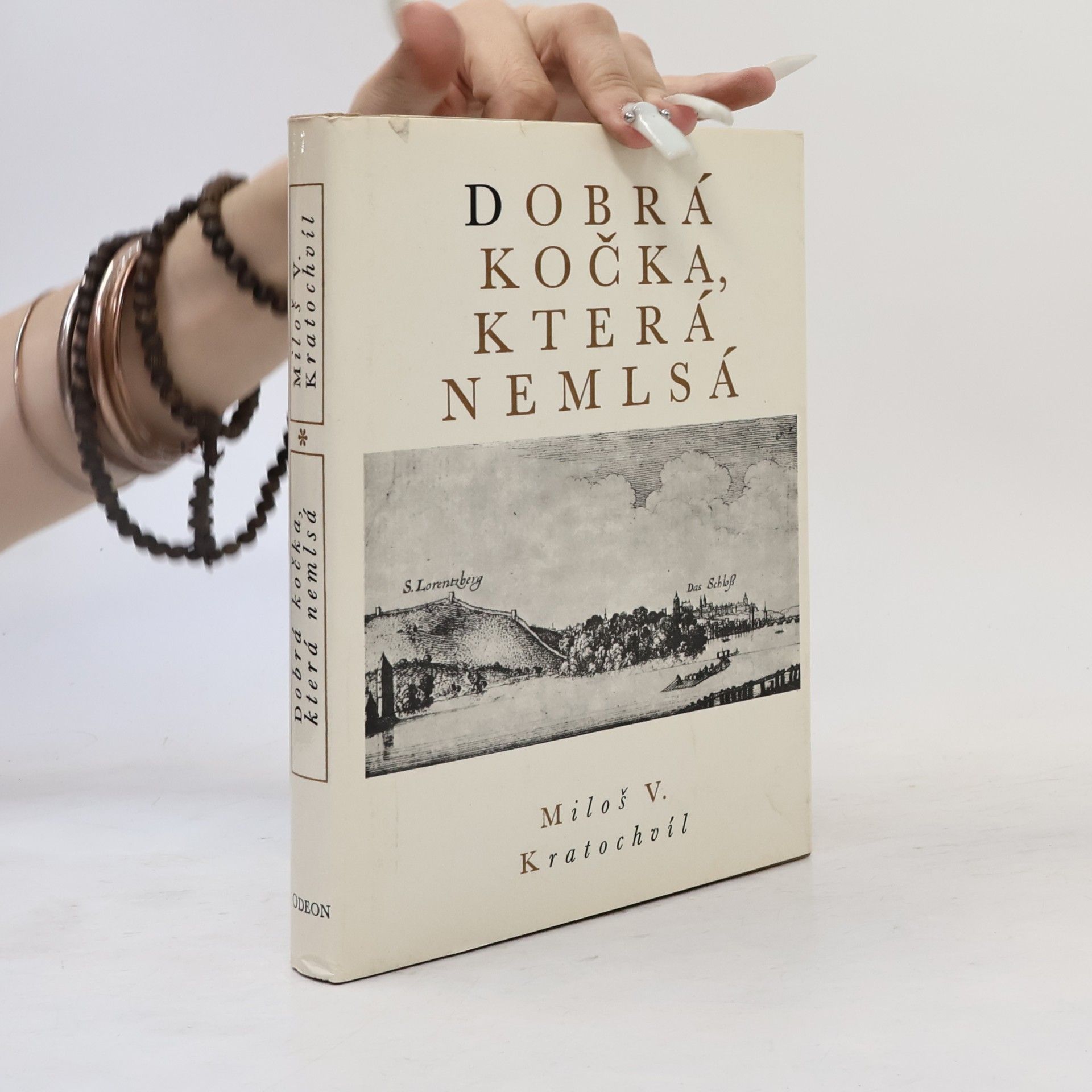 Dobrá kočka, která nemlsá
