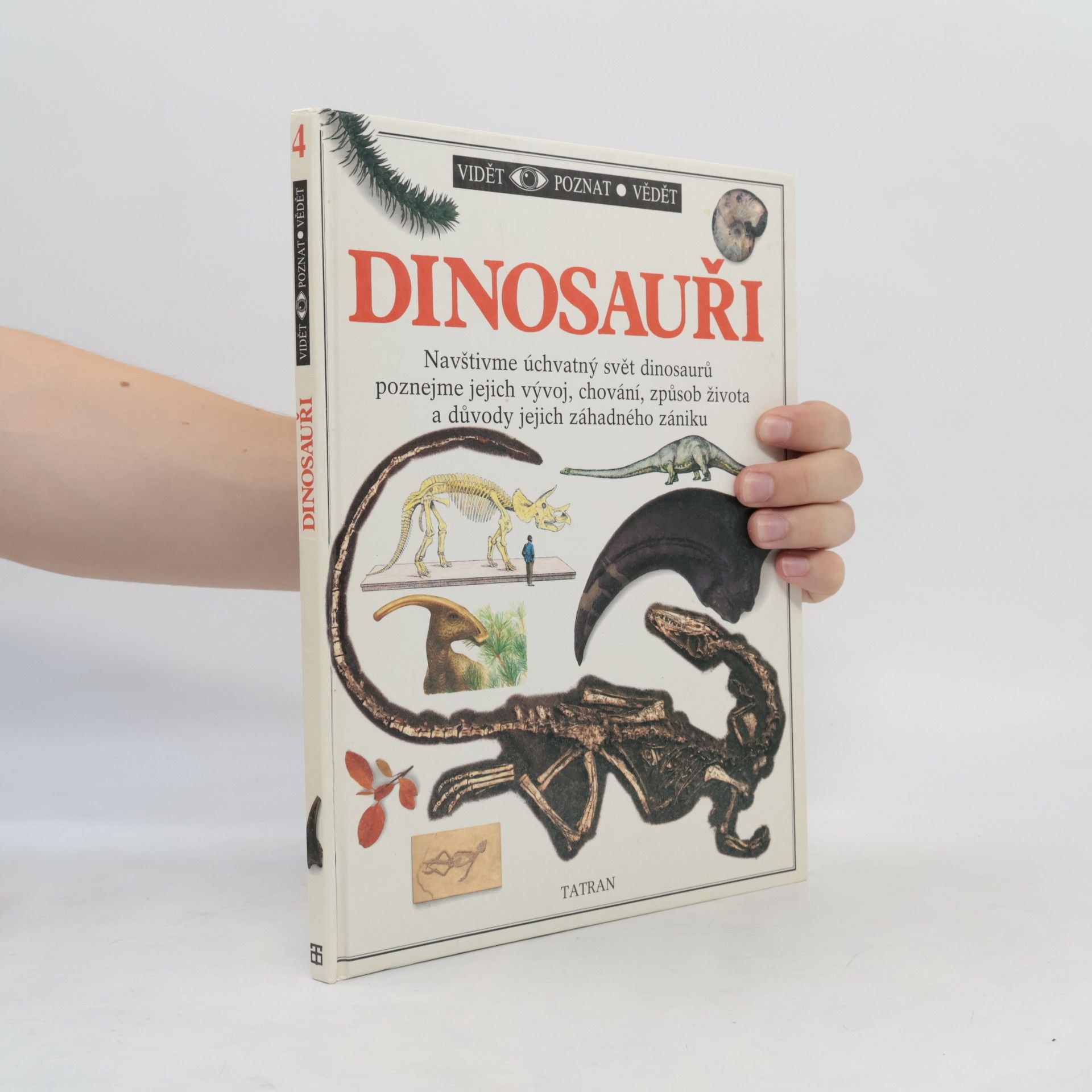 Dinosauři