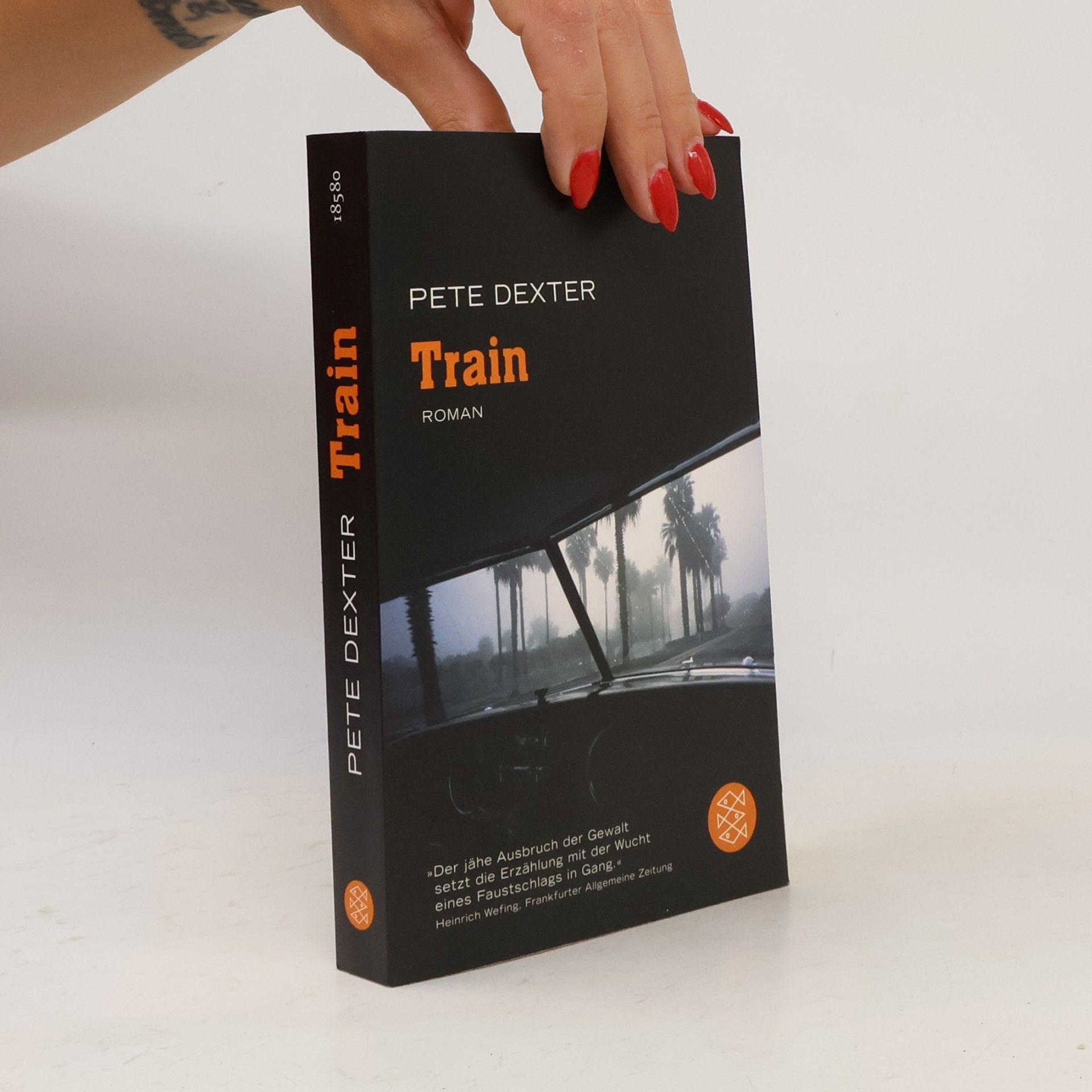 Pete Dexter Train