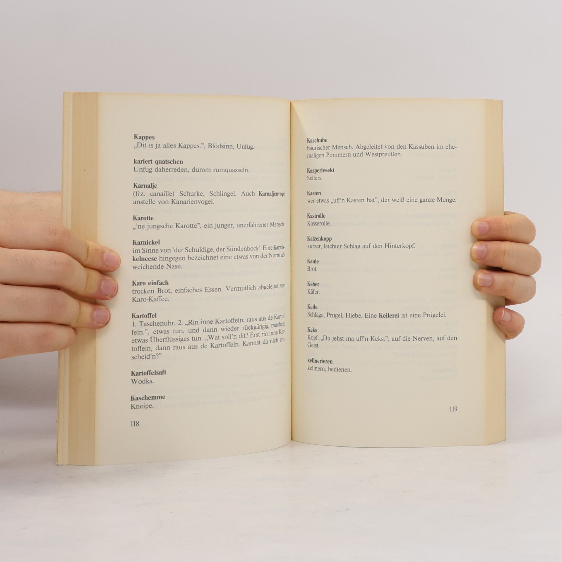 Peter Schlobinski Berliner Wörterbuch
