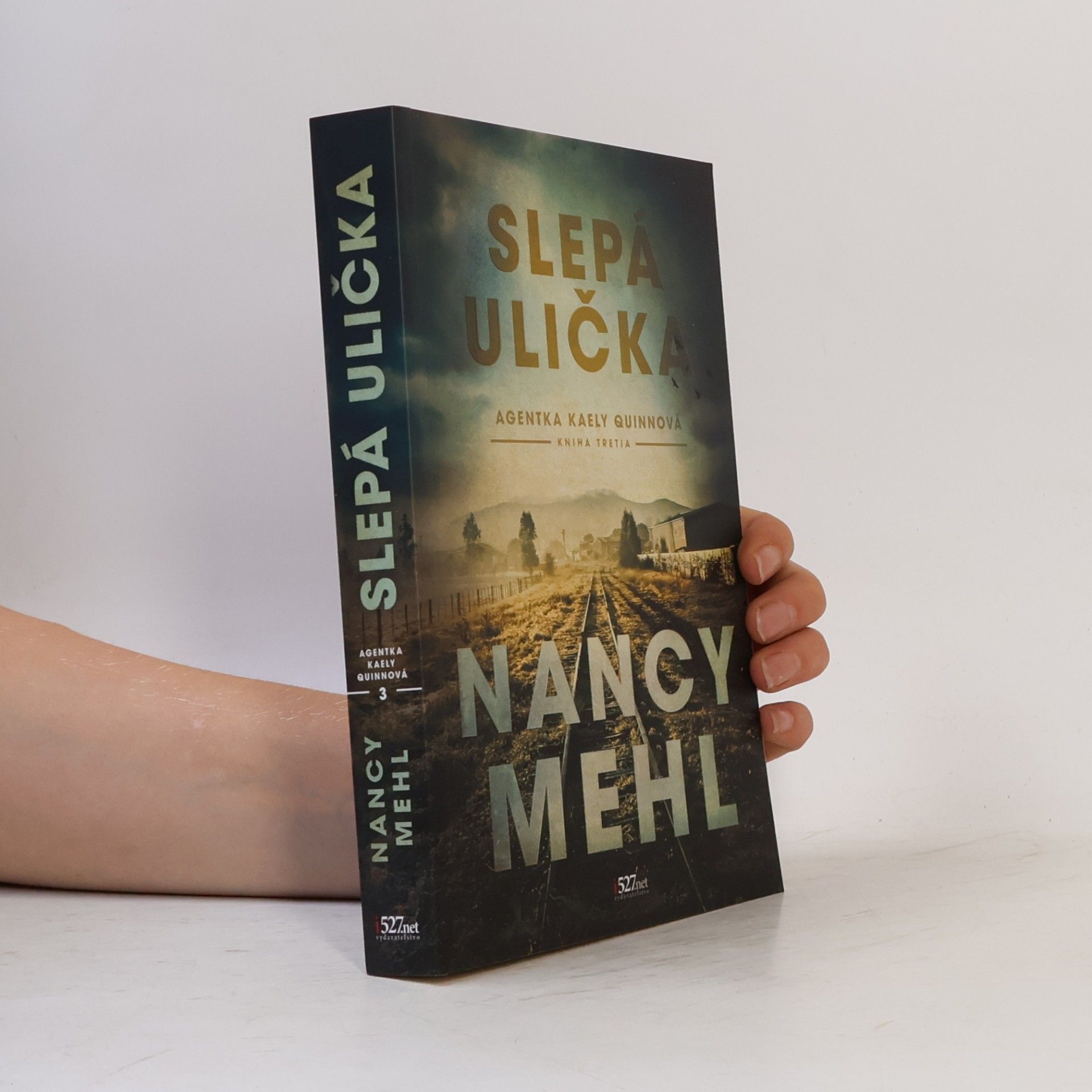 Nancy Mehl Slepá ulička