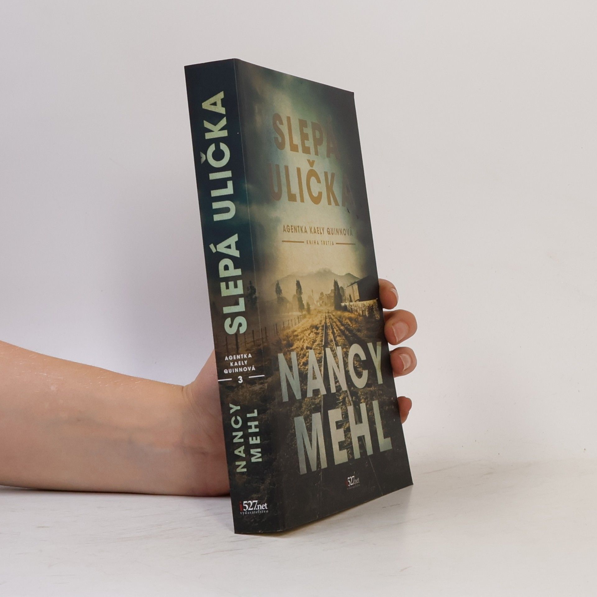 Nancy Mehl Slepá ulička