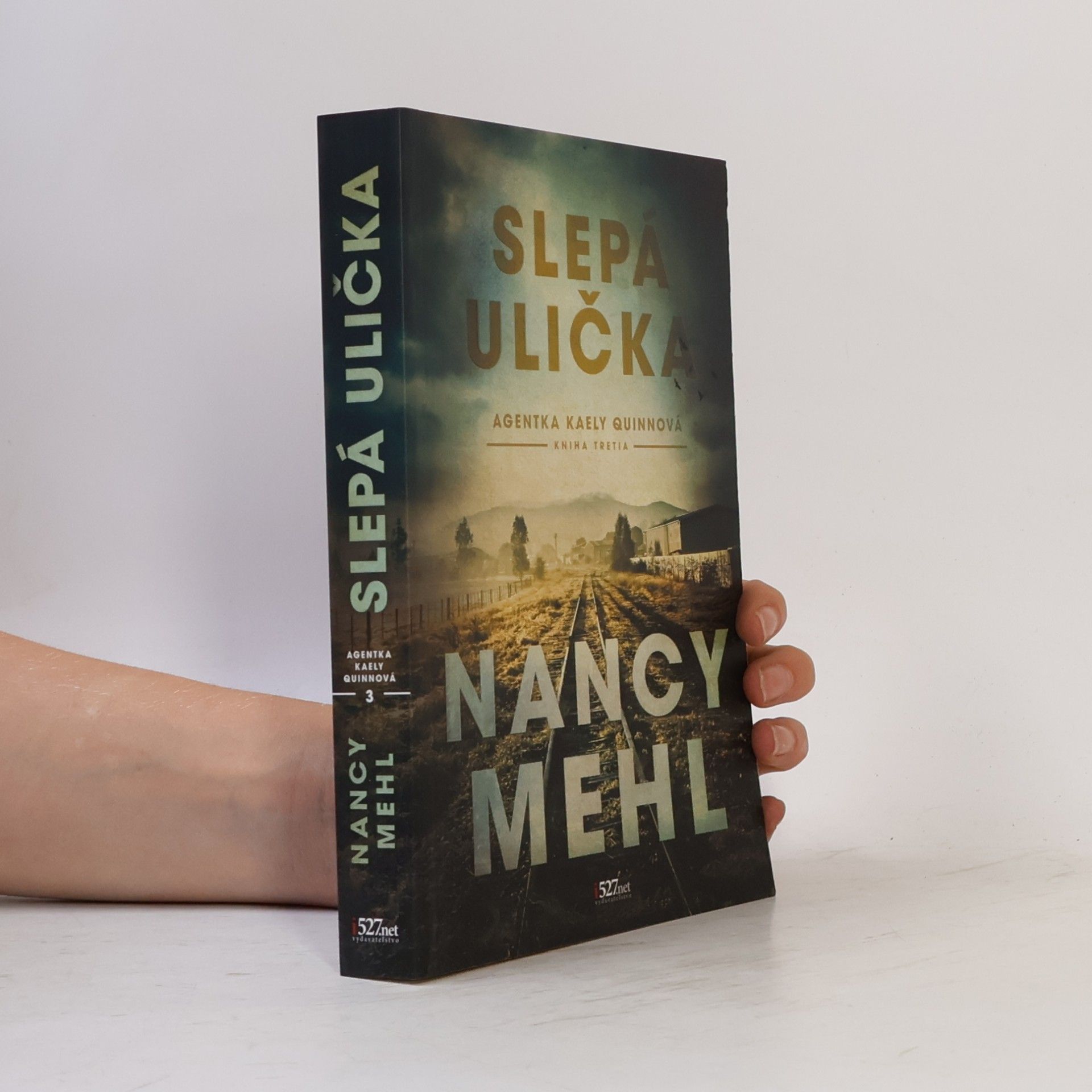 Nancy Mehl Slepá ulička
