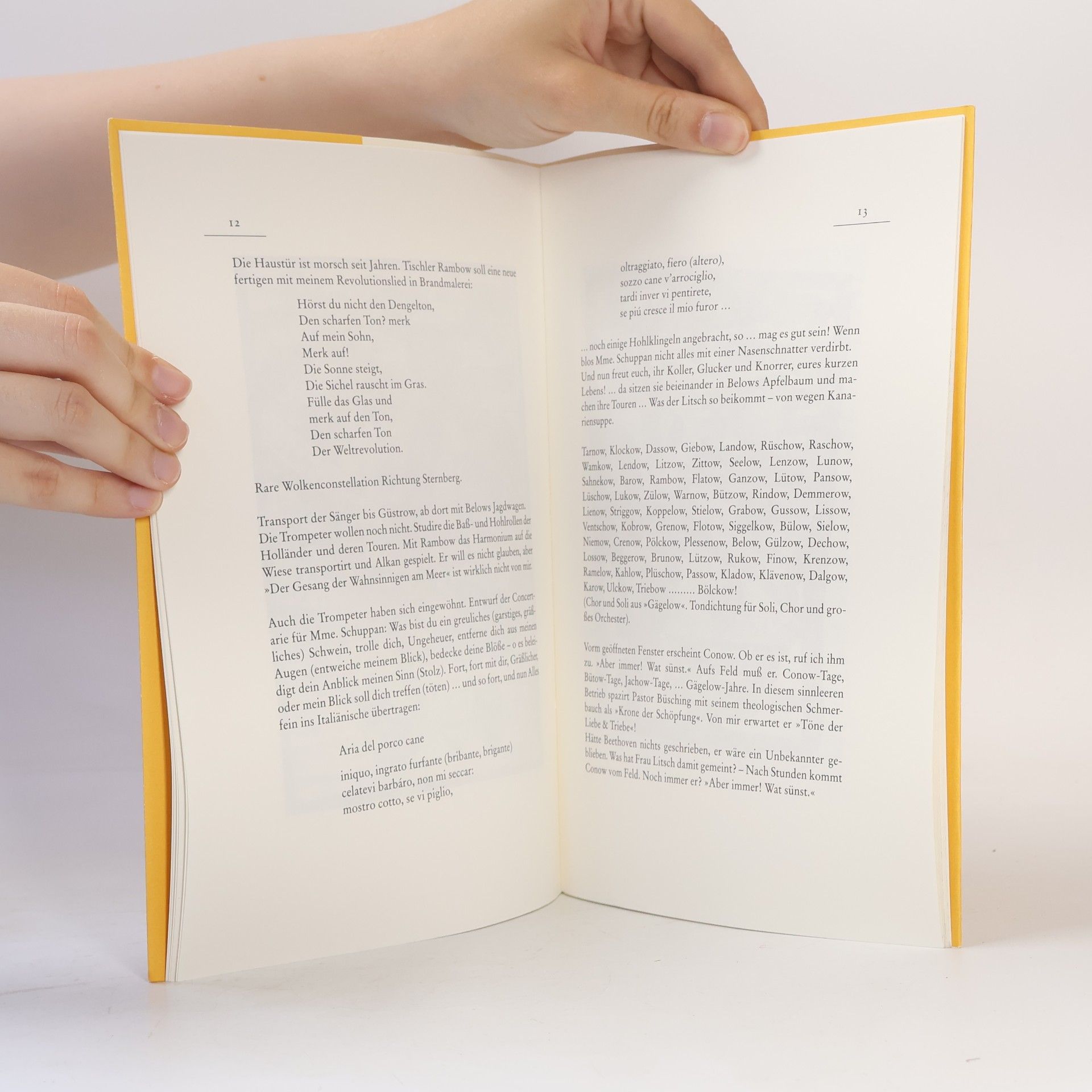 Autorenkollektiv Elena Guro. Lieder der Stadt