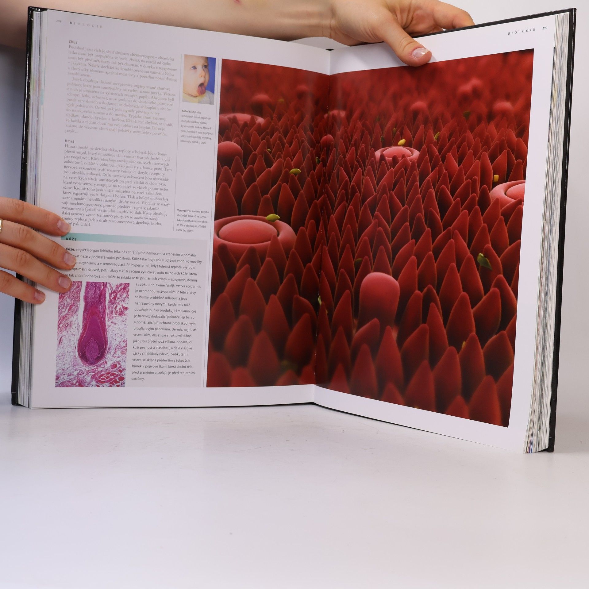 Allan R. Glanville Scientifica. Průvodce světem dnešní vědy