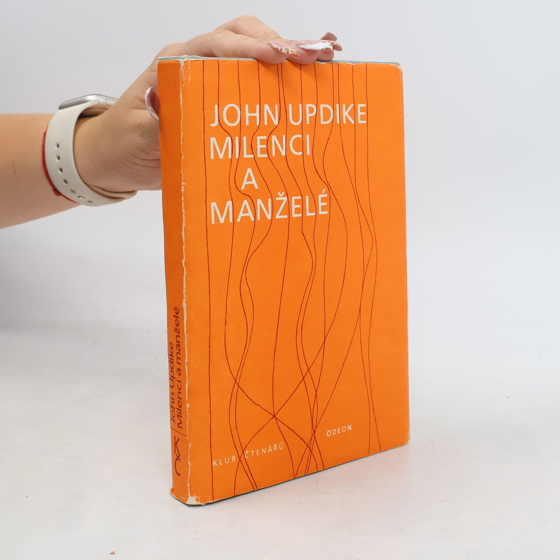 John Updike Milenci a manželé
