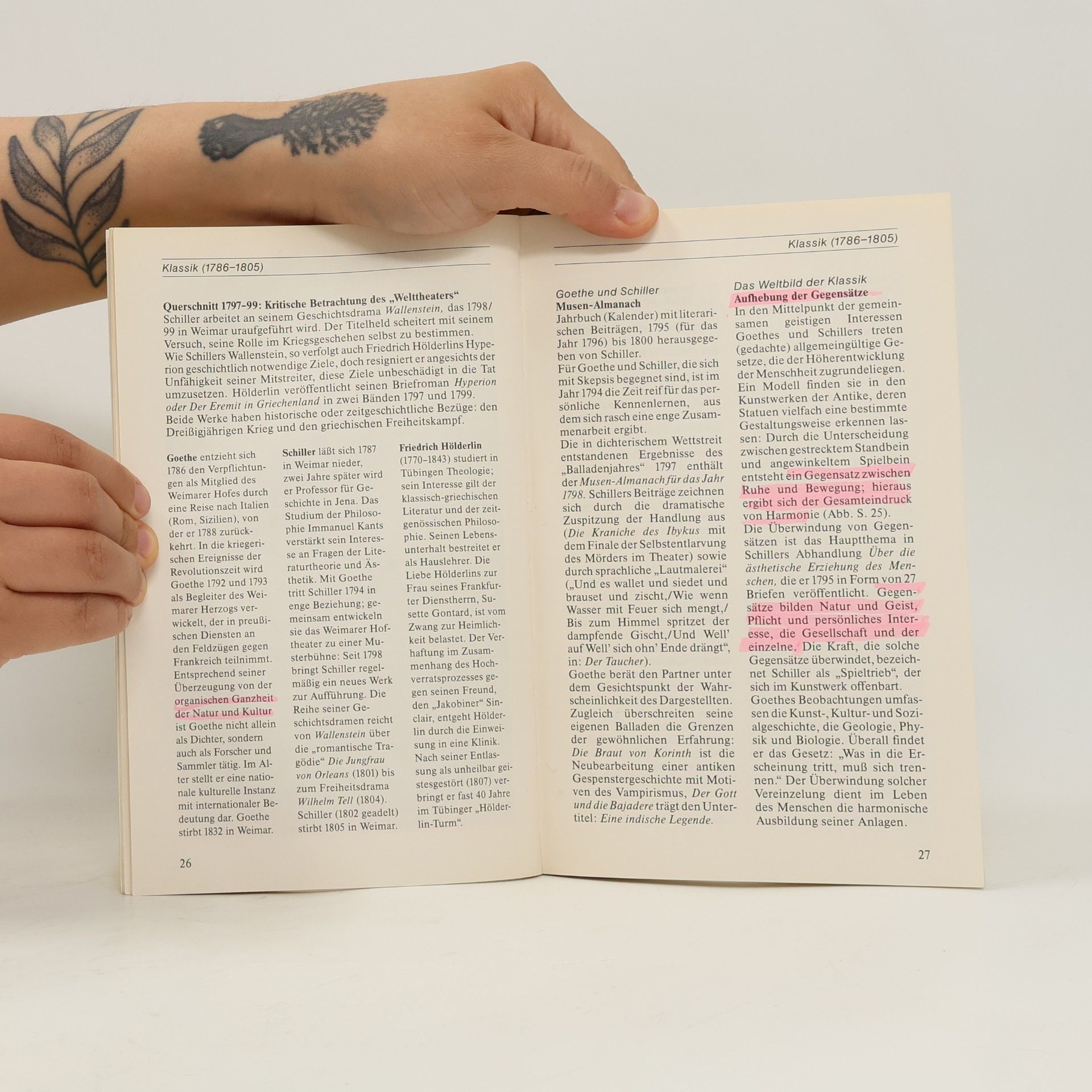 Johannes Zollner Grundwissen Literaturgeschichte