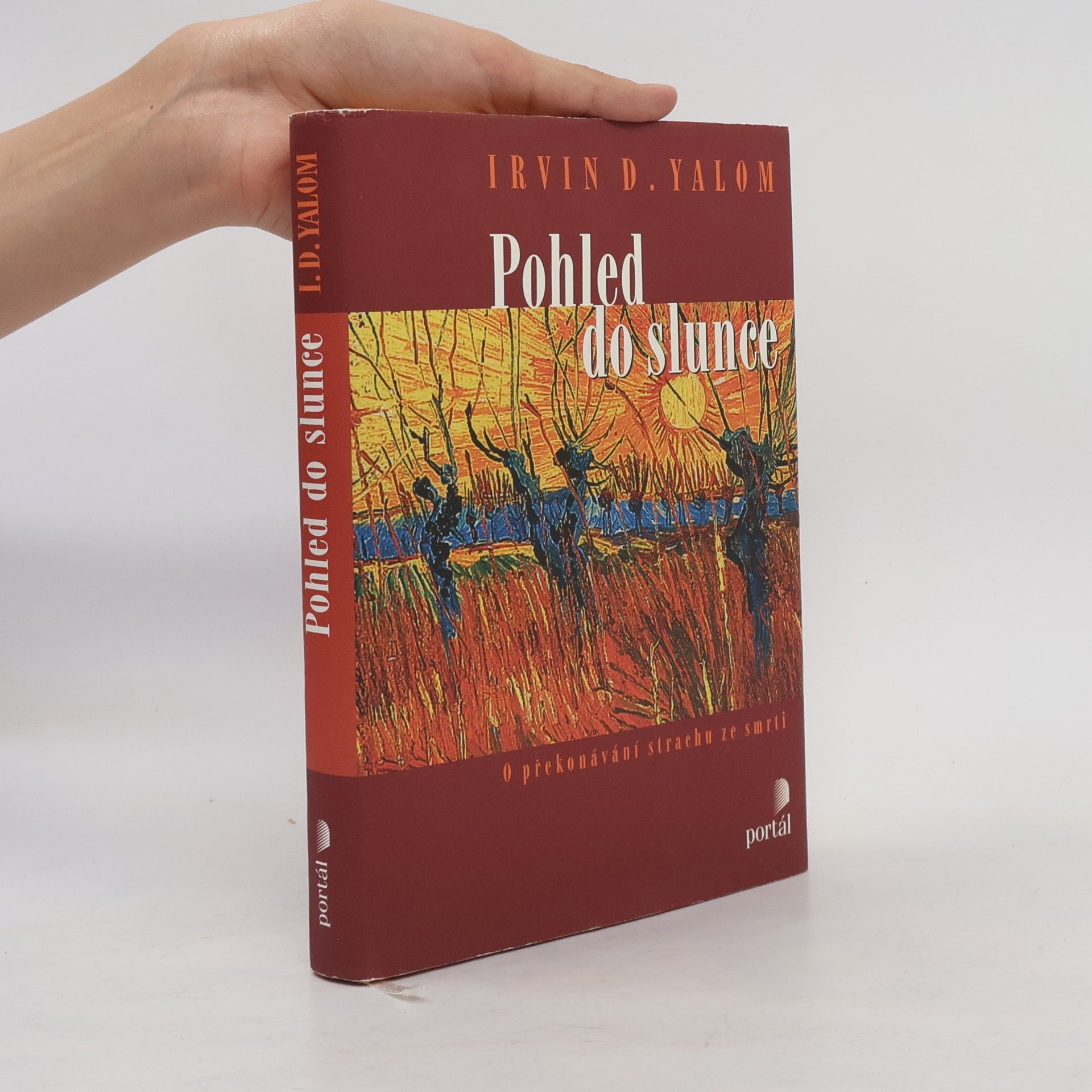 Irvin D. Yalom Pohled do slunce