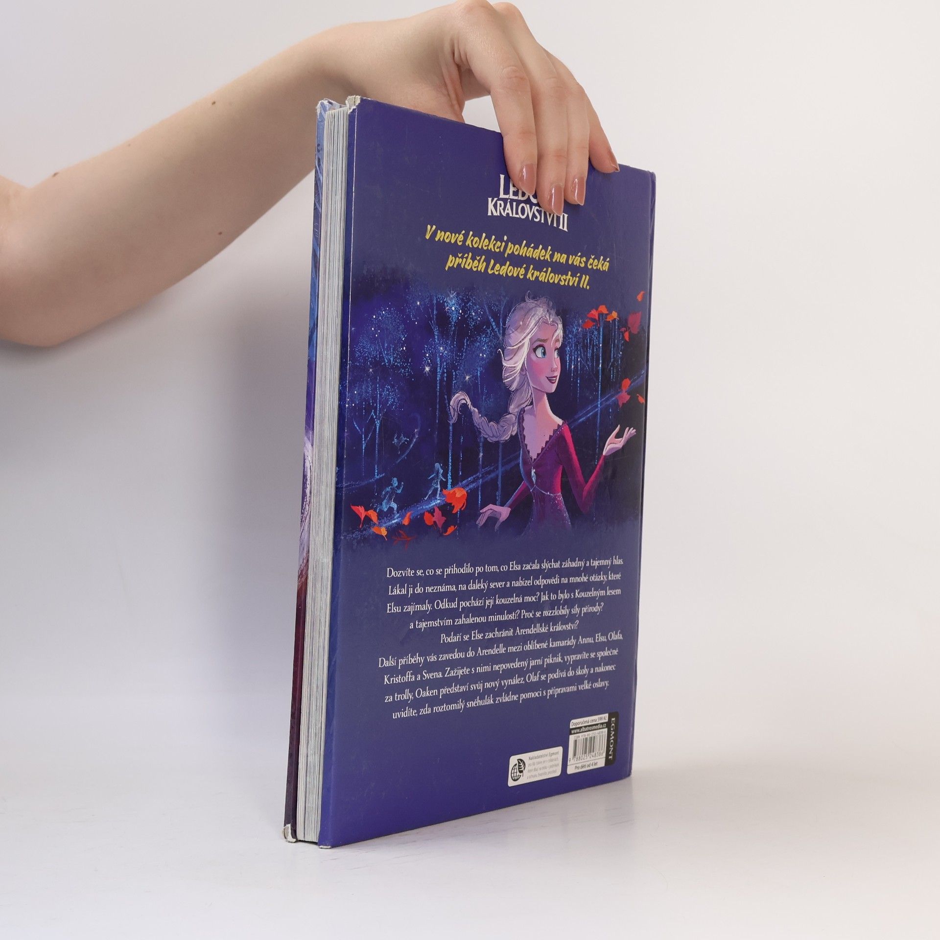 Autorenkollektiv Ledové království II : nejkrásnější kolekce příběhů