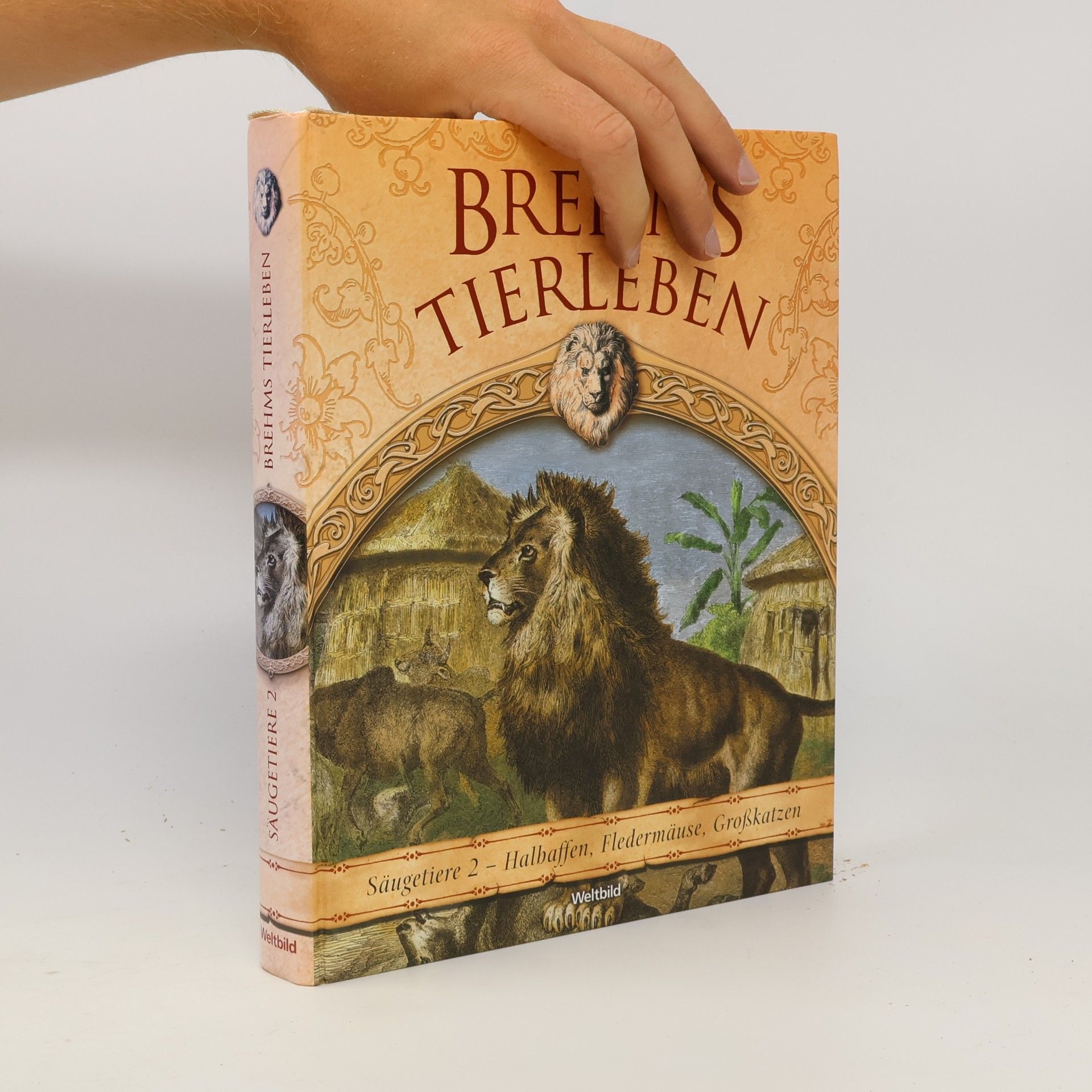 Autorenkollektiv Brehms Tierleben. Säugetiere 2