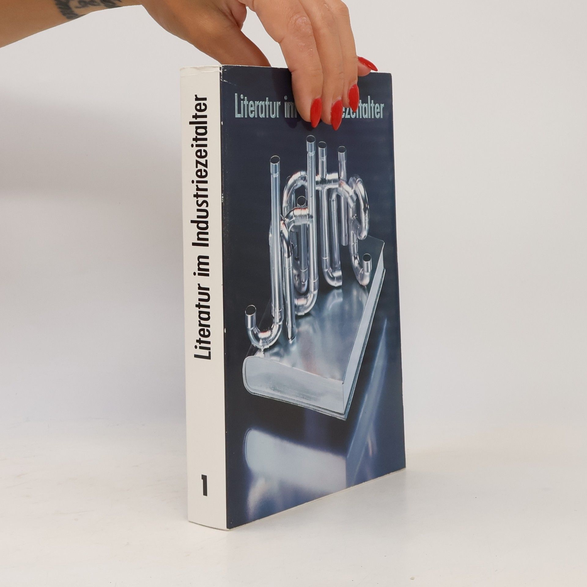 PeterPaul Schneider Literatur im Industriezeitealter 1