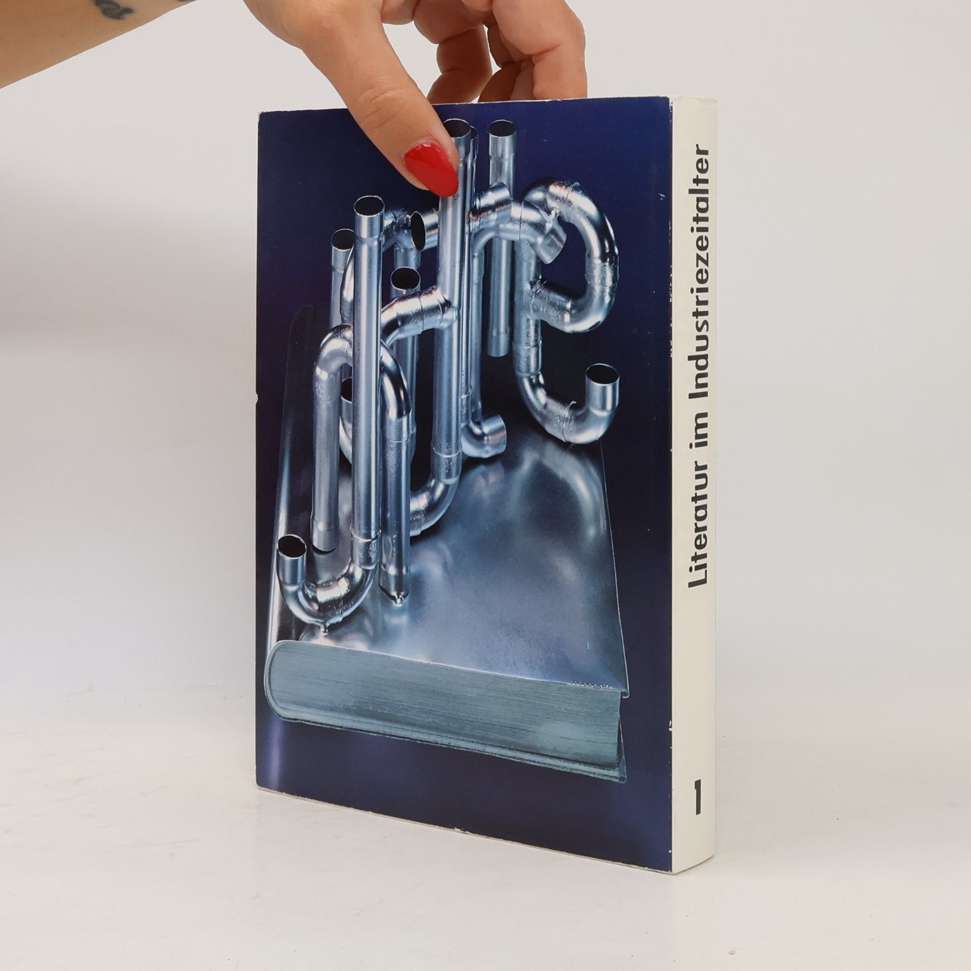 PeterPaul Schneider Literatur im Industriezeitealter 1