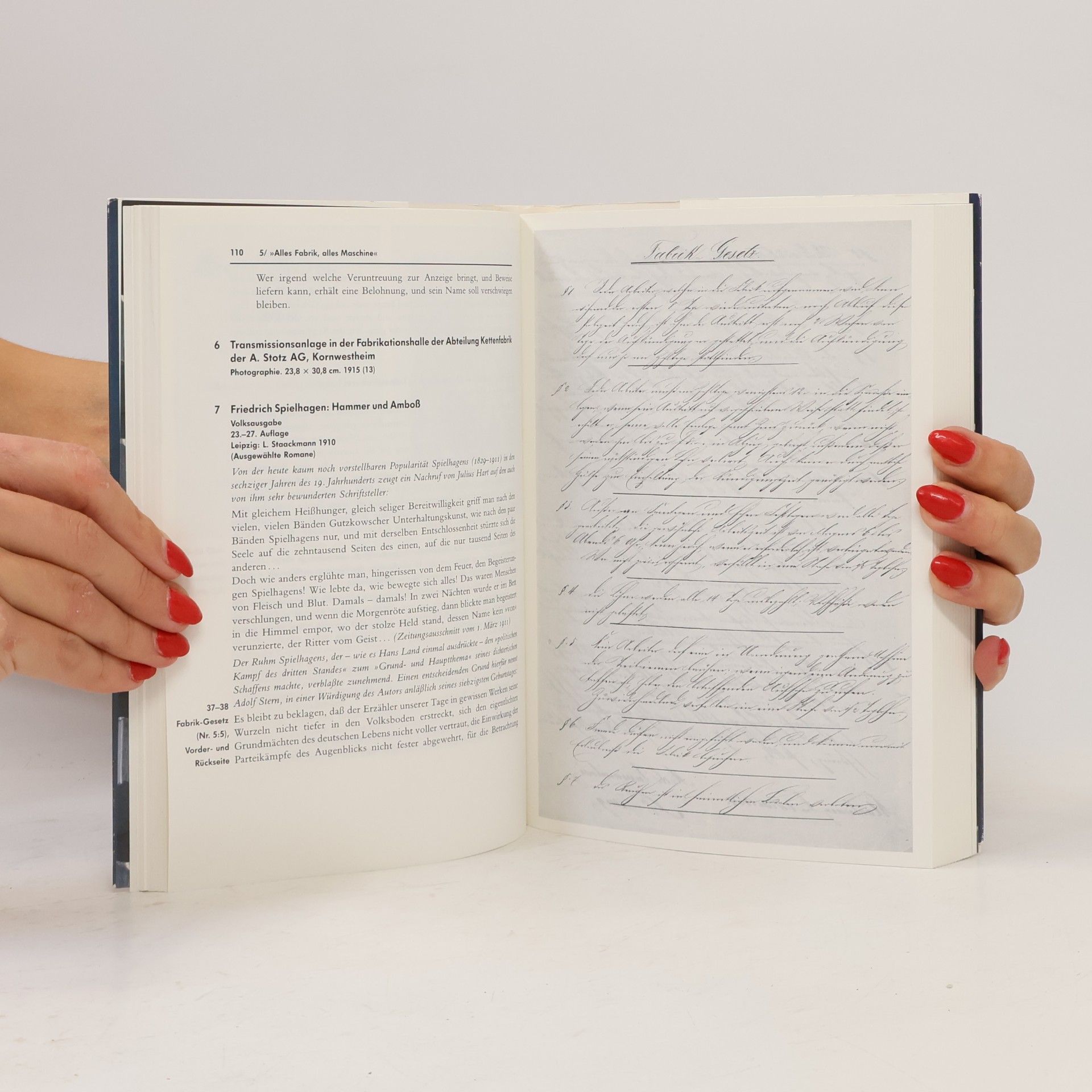 PeterPaul Schneider Literatur im Industriezeitealter 1