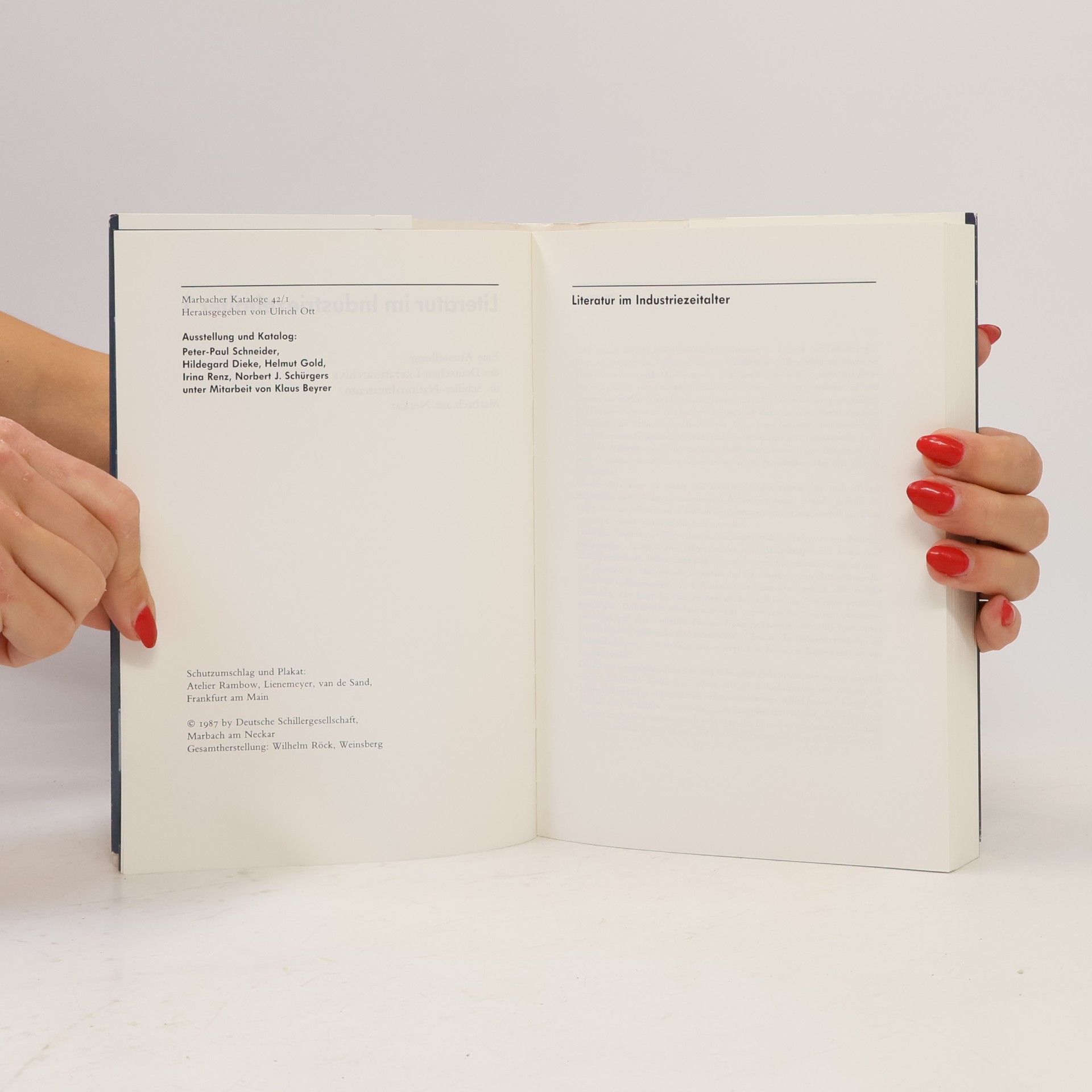 PeterPaul Schneider Literatur im Industriezeitealter 1