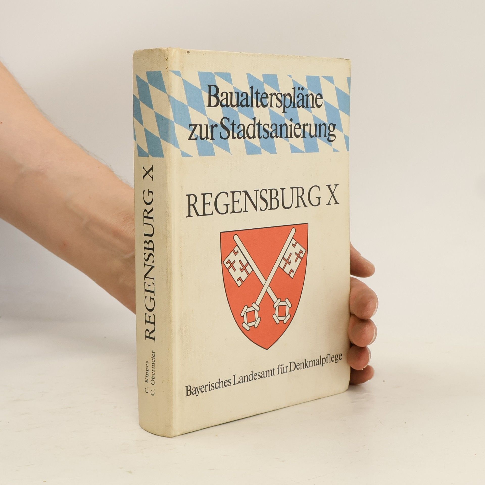 Baualtersplan zur Stadtsanierung Regensburg X
