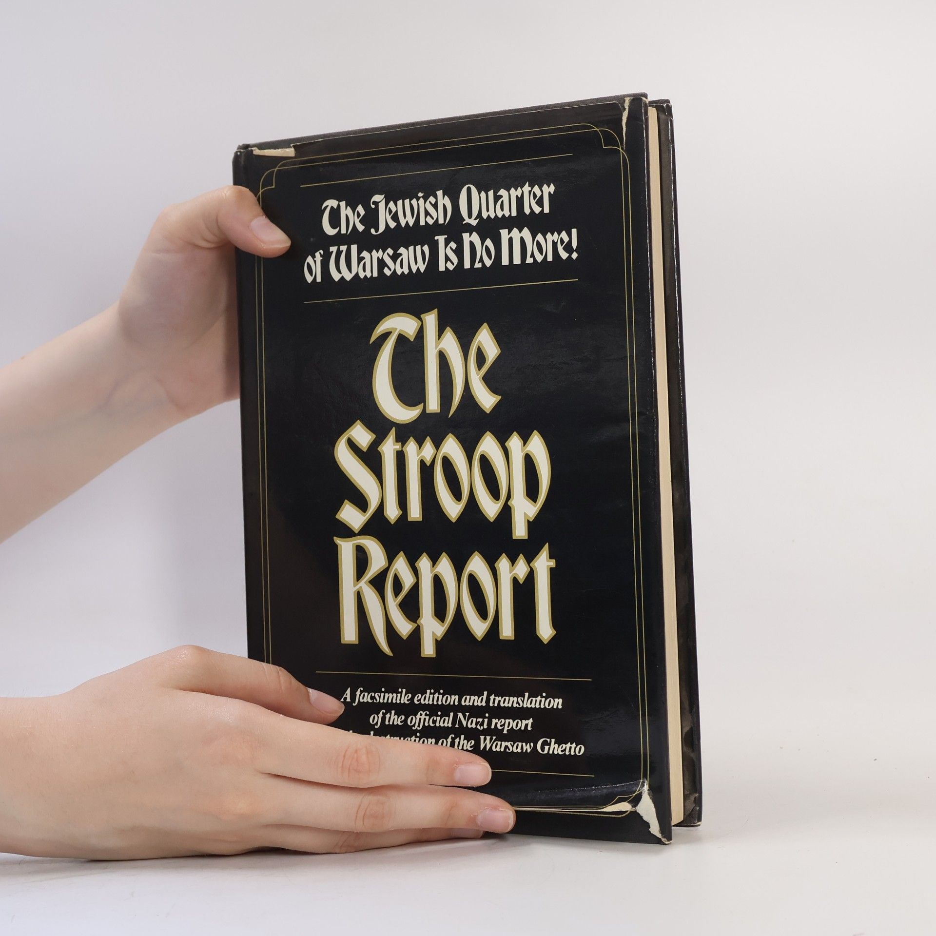 Jürgen Stroop The Stroop Report