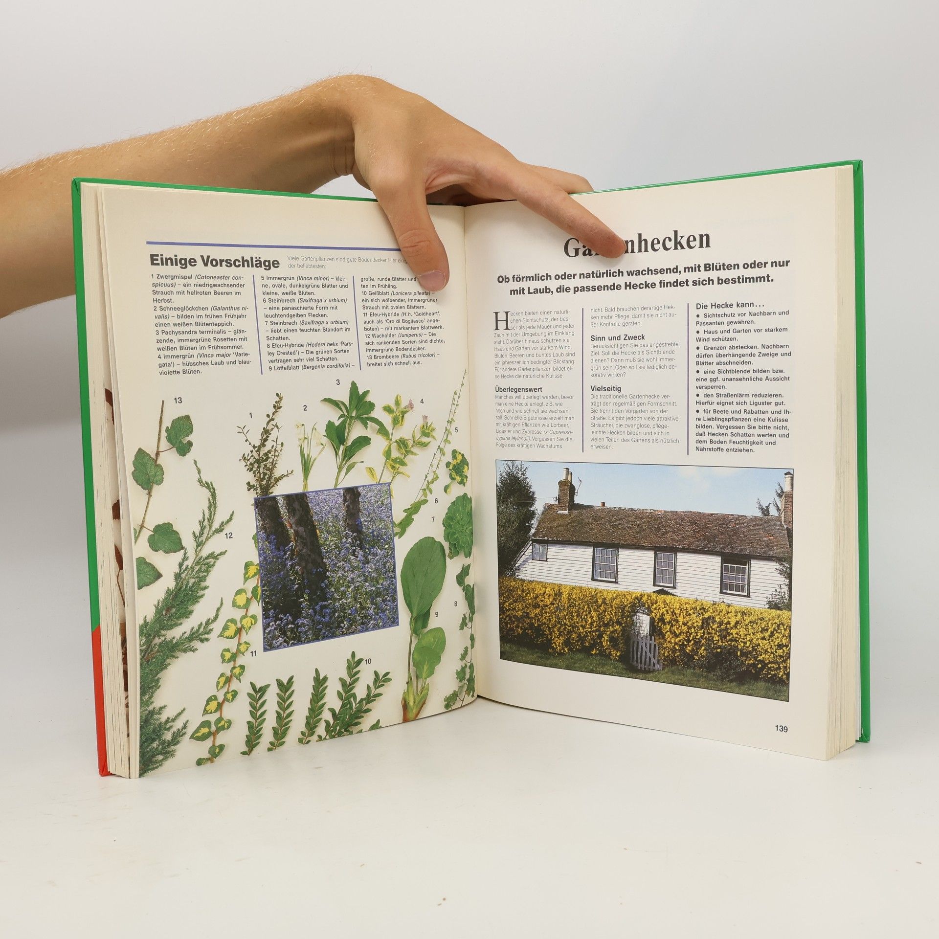 AA.VV. Das große Buch vom Garten
