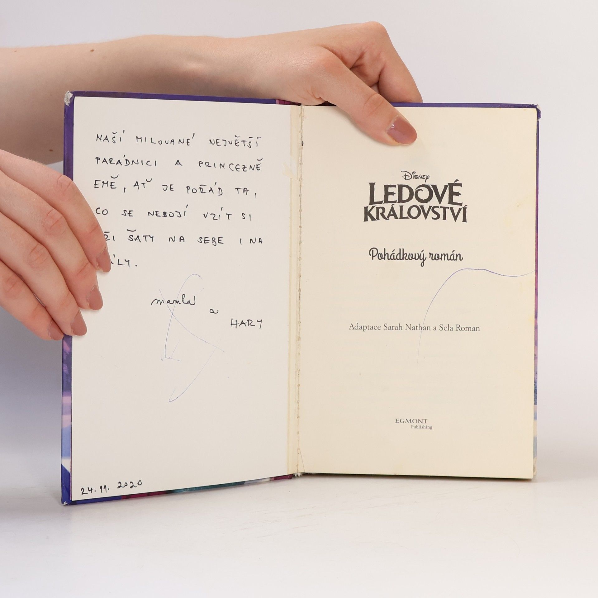 Sarah Nathan Ledové království: Pohádkový román
